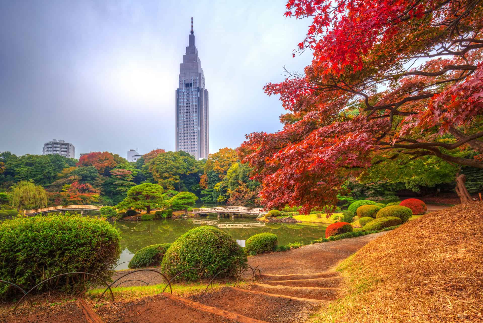 automne au parc shinjuku gyoen automne au parc shinjuku gyoen