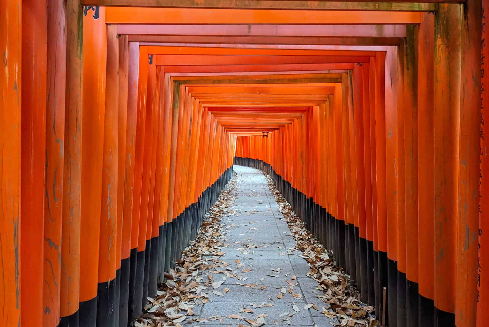 fushimi inari taisha