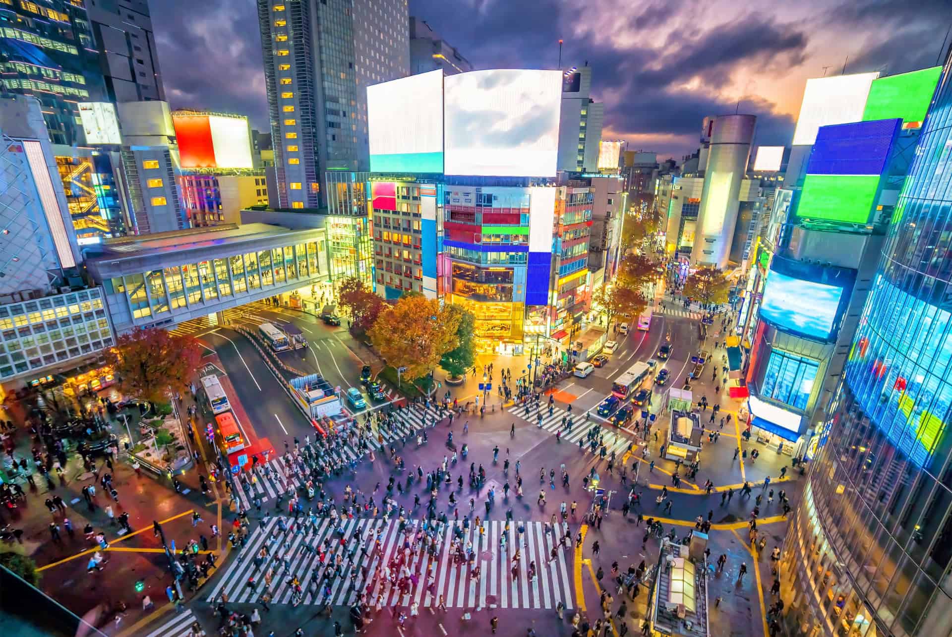 Le quartier de Shibuya