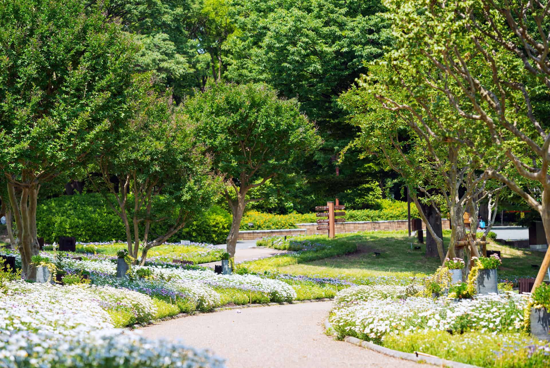 jardin botanique nagai osaka jardin botanique nagai osaka