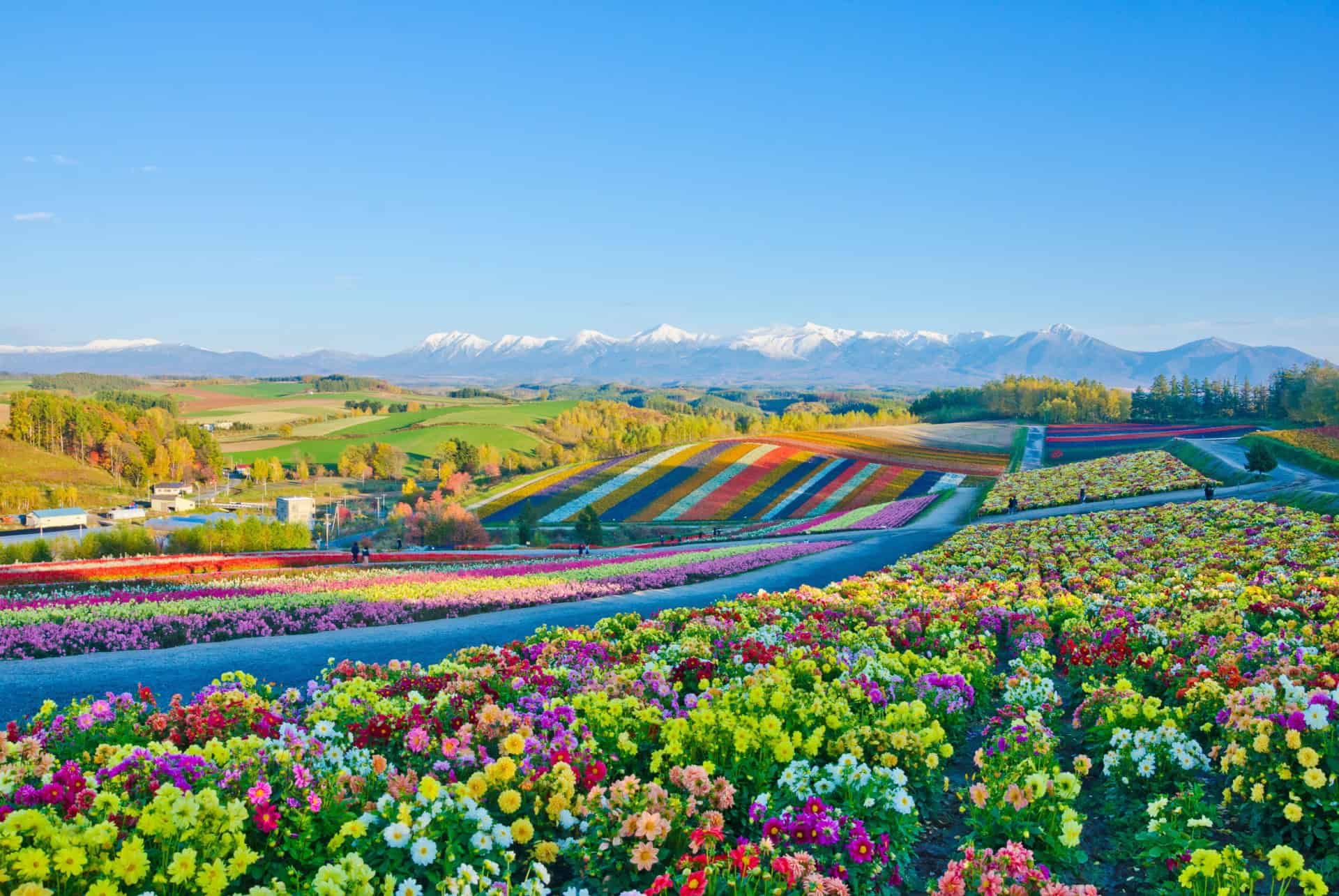Visiter Hokkaido
