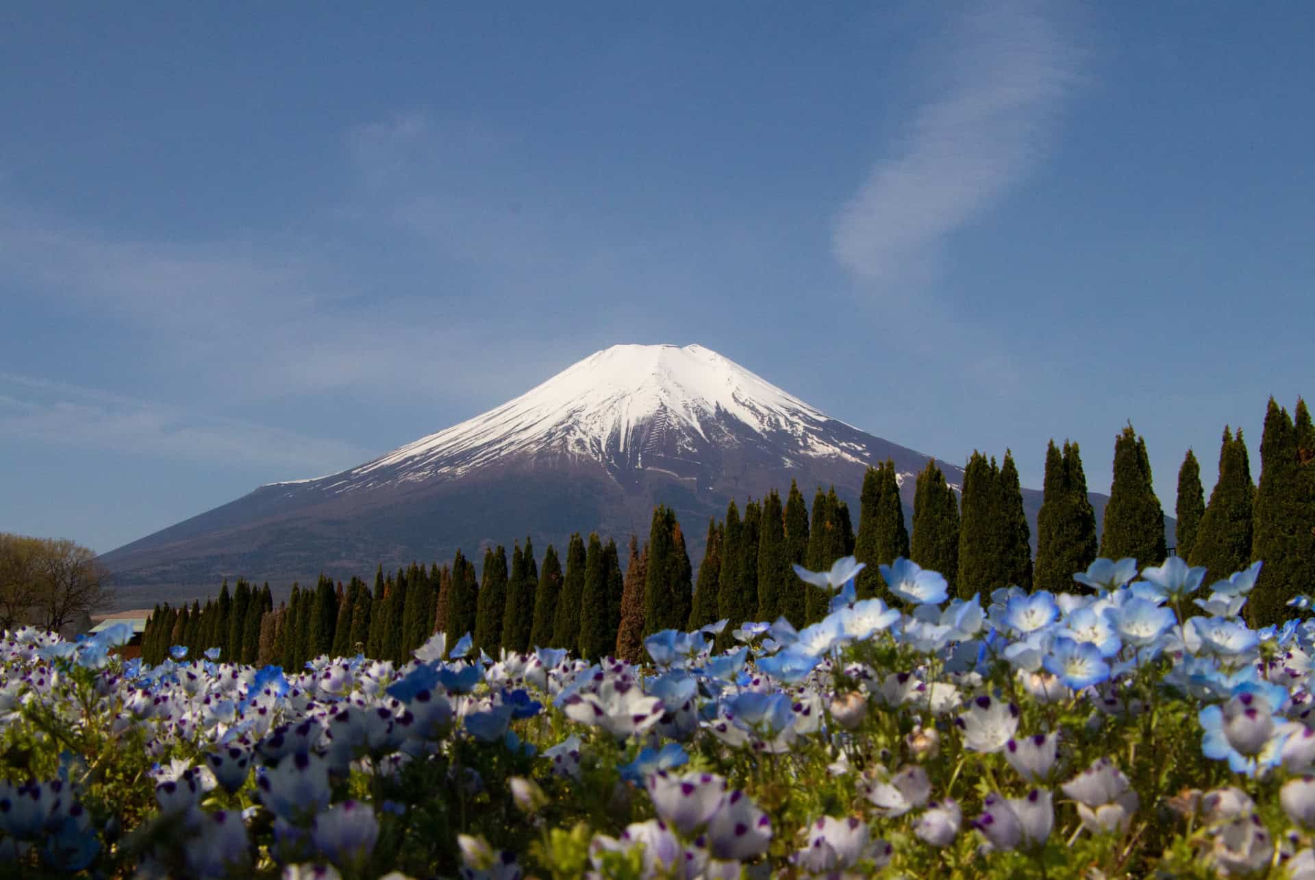 mont fuji mont fuji