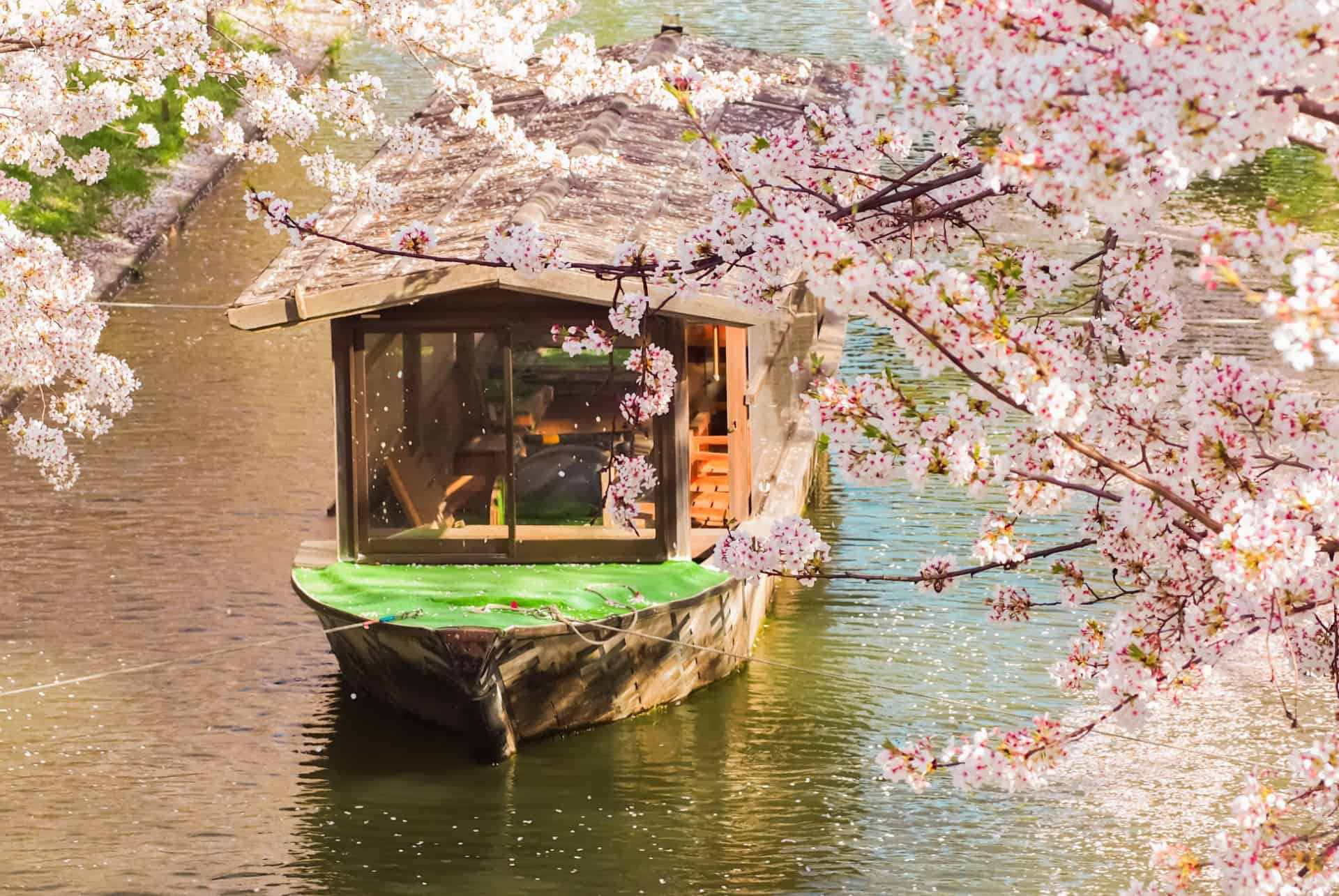 tunnel de sakura kyoto