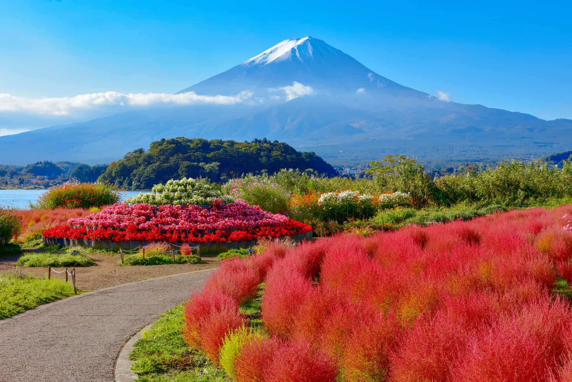 Le Japon en juillet