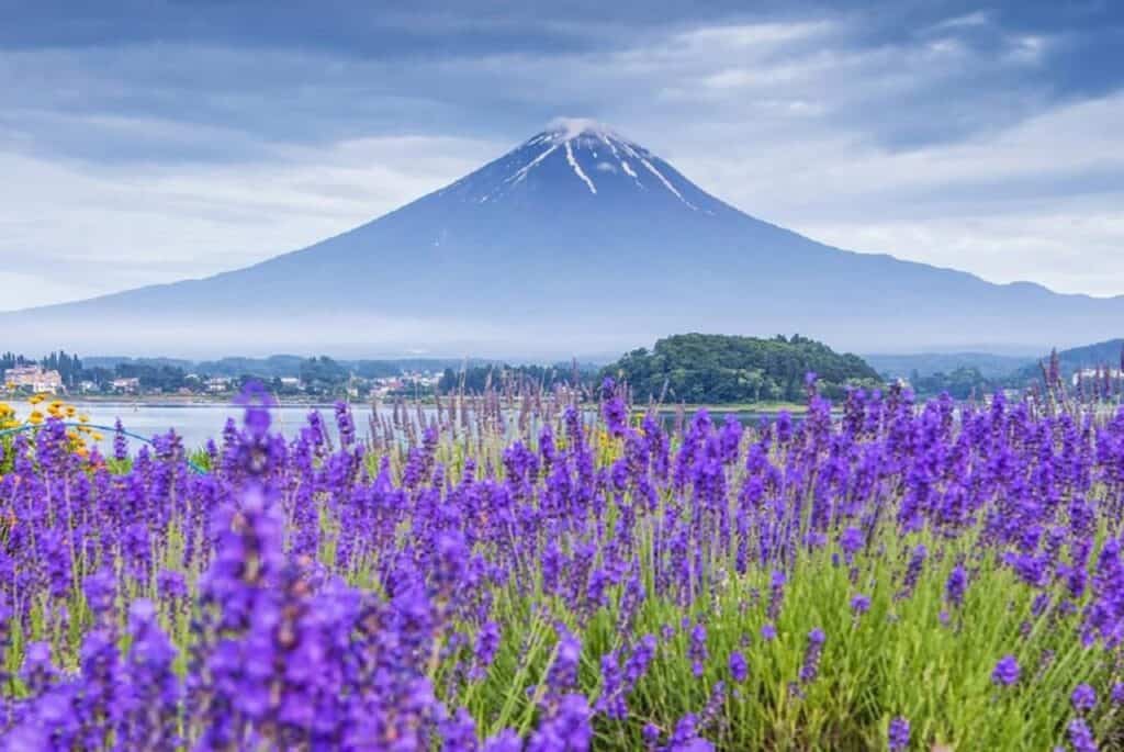 Excursion d'une journée aux 5 principaux sites du Mont Fuji