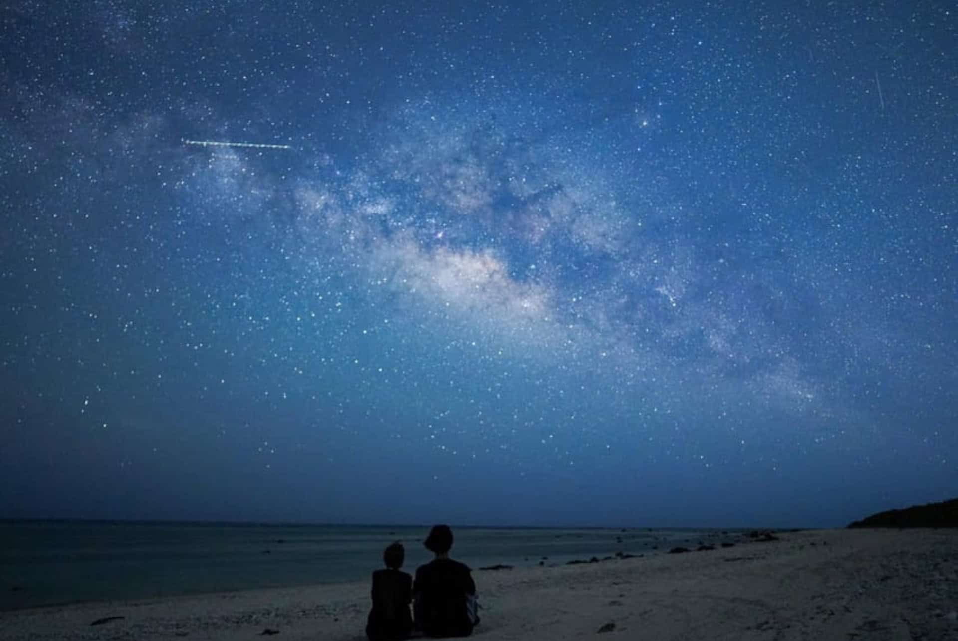 plus belles iles du japon - ishigaki visite nocturne de la jungle plus belles iles du japon - ishigaki visite nocturne de la jungle