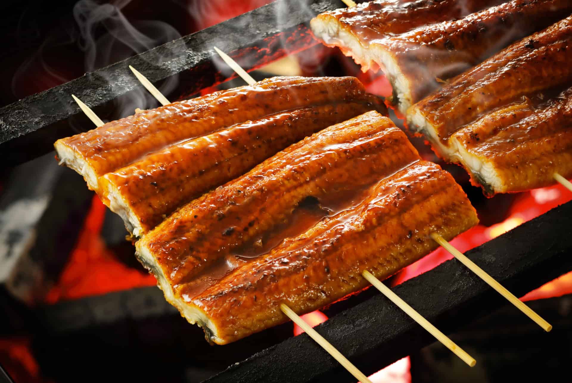 anguille grillee