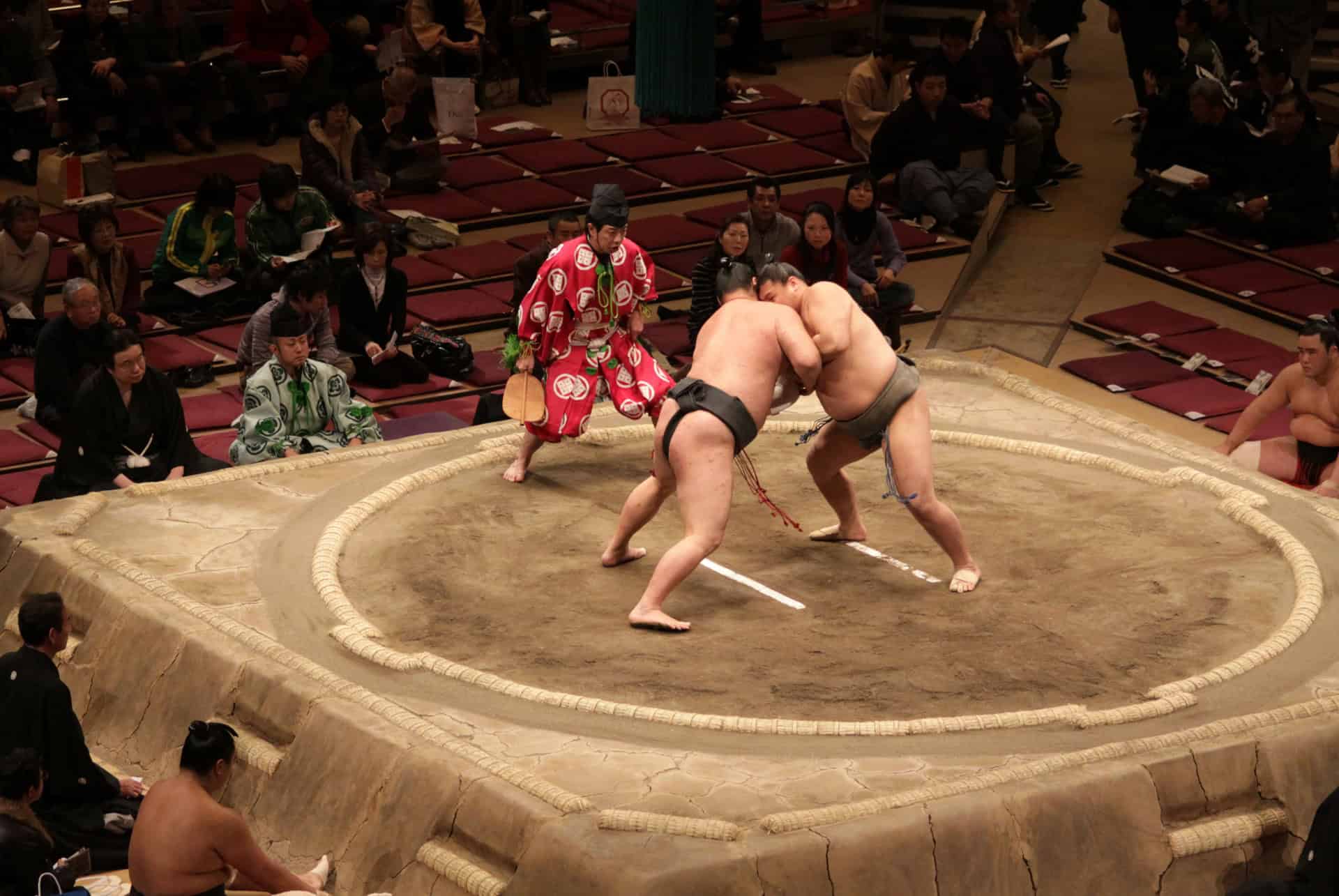 match de sumo a tokyo