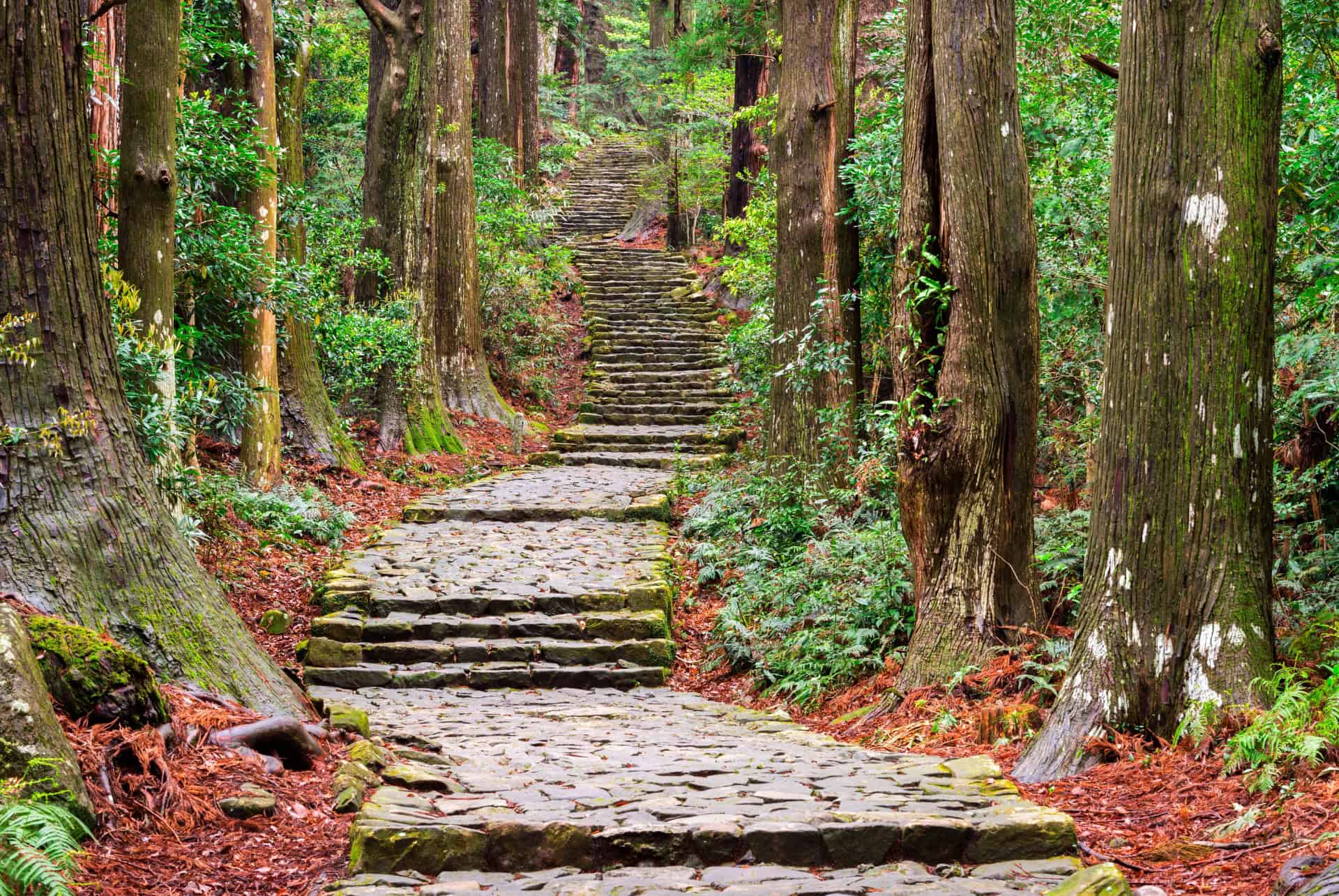 plus belles randonnées au japon sentier Kumano kodo