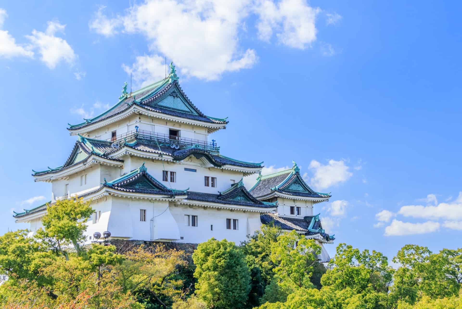 chateau de wakayama