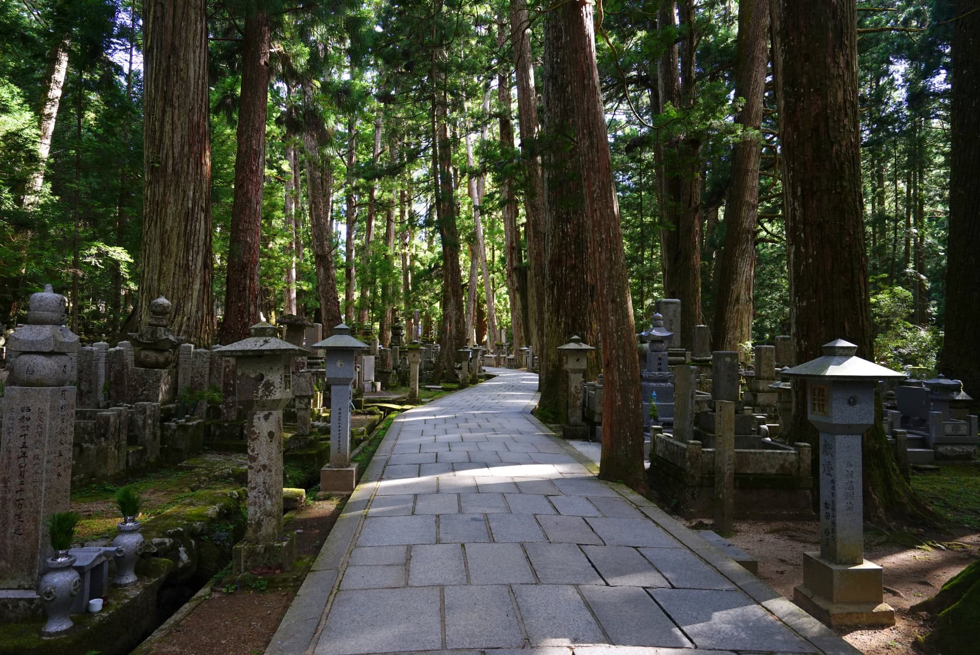 cimetiere de okuno in du mont koya