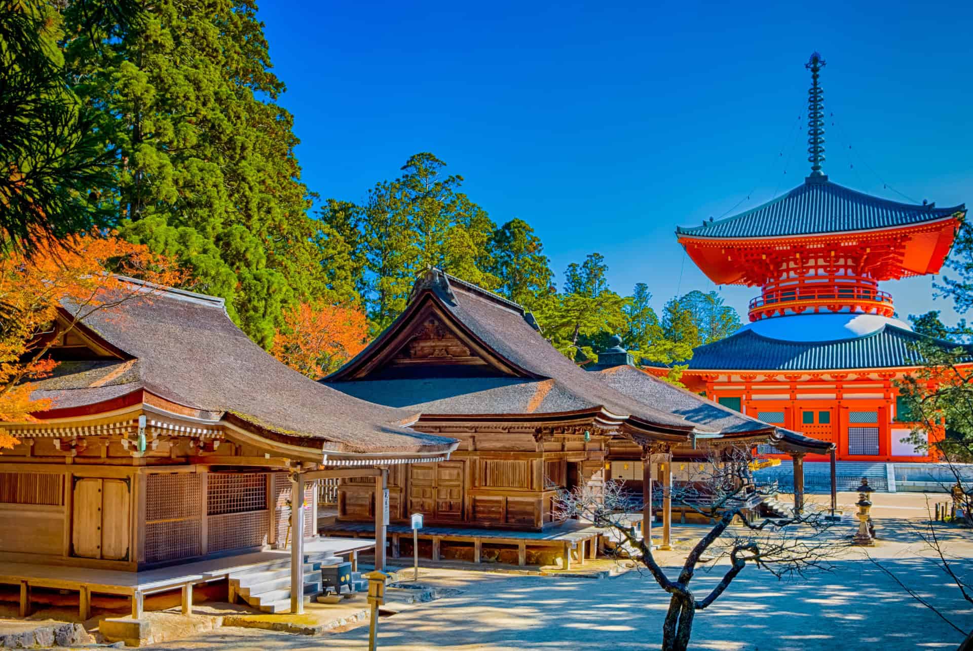 pagode de danjo garan au mont koya