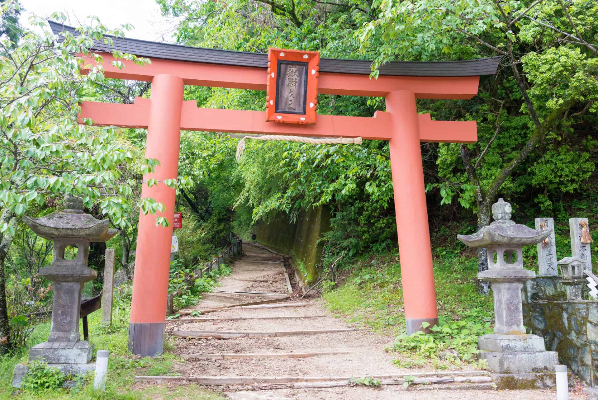 sentier de pelerinage vers le mont koya