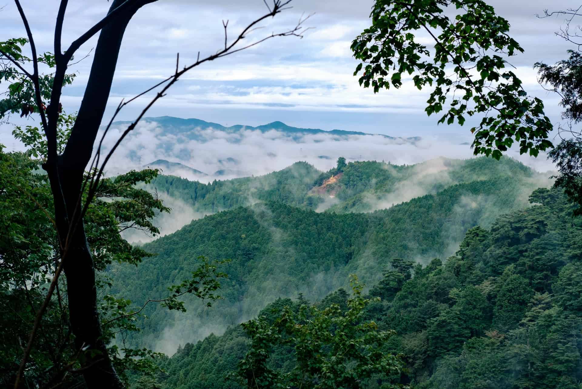 vue depuis le mont koya
