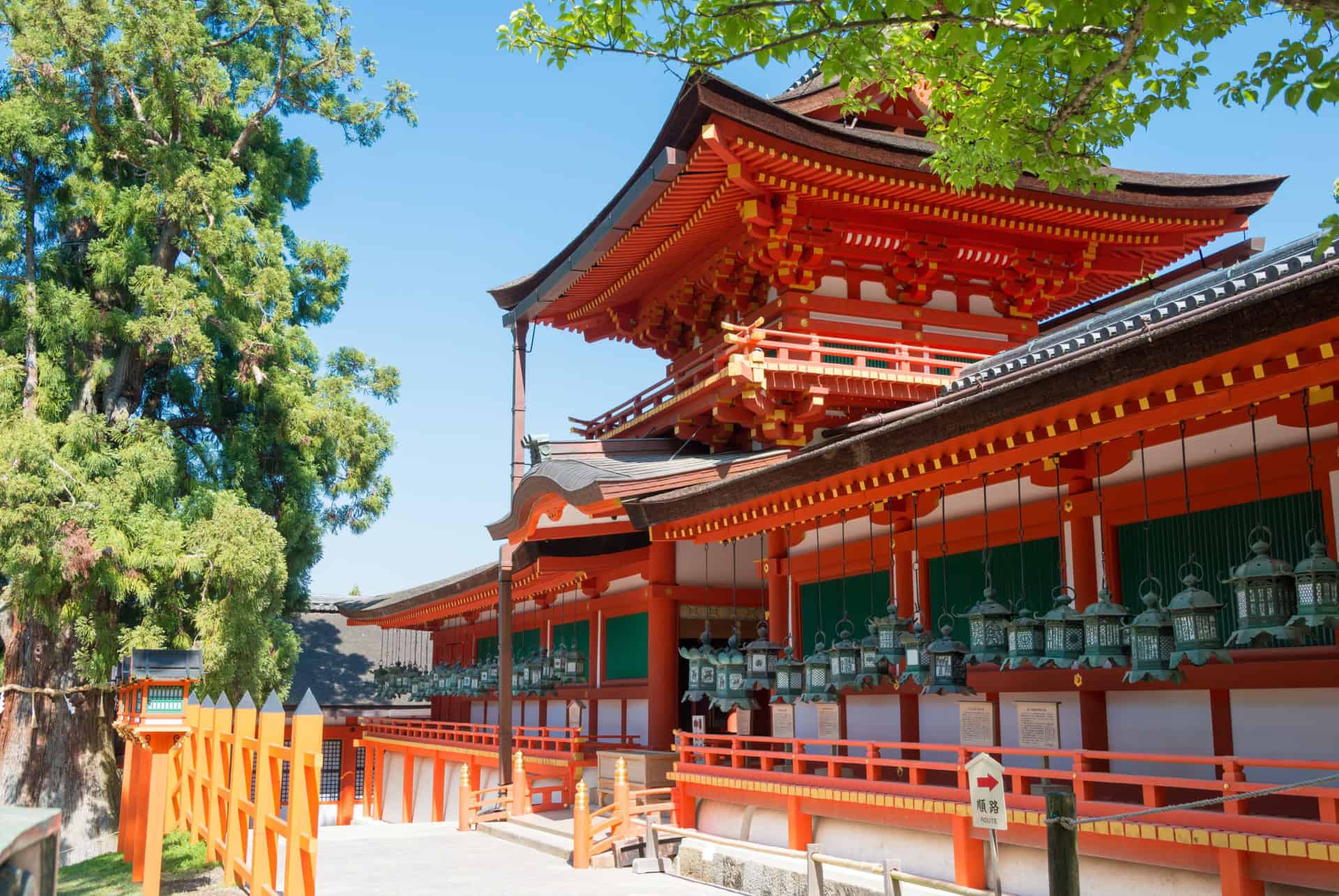 kasuga taisha