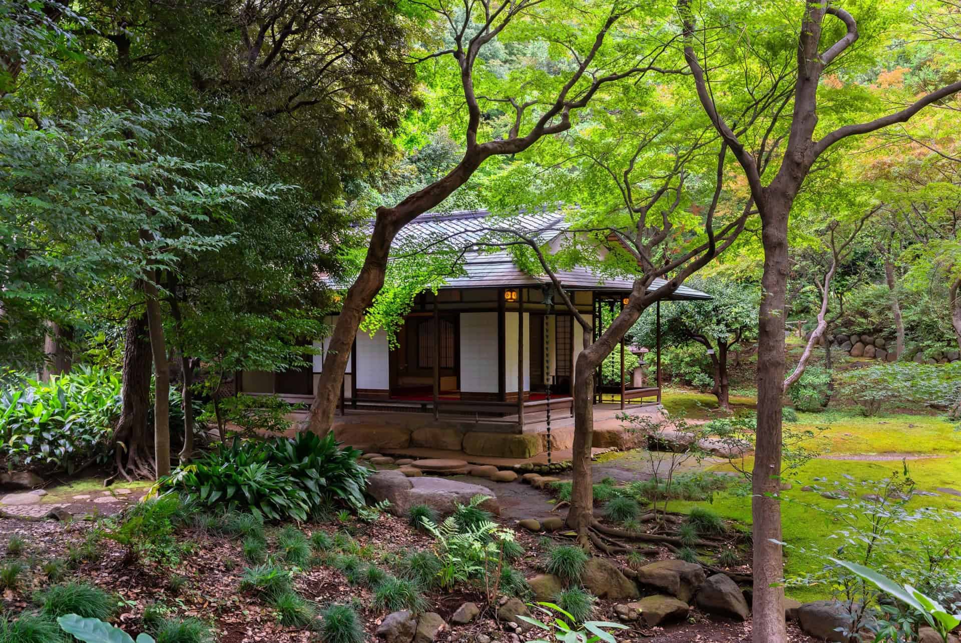 maison the tokyo
