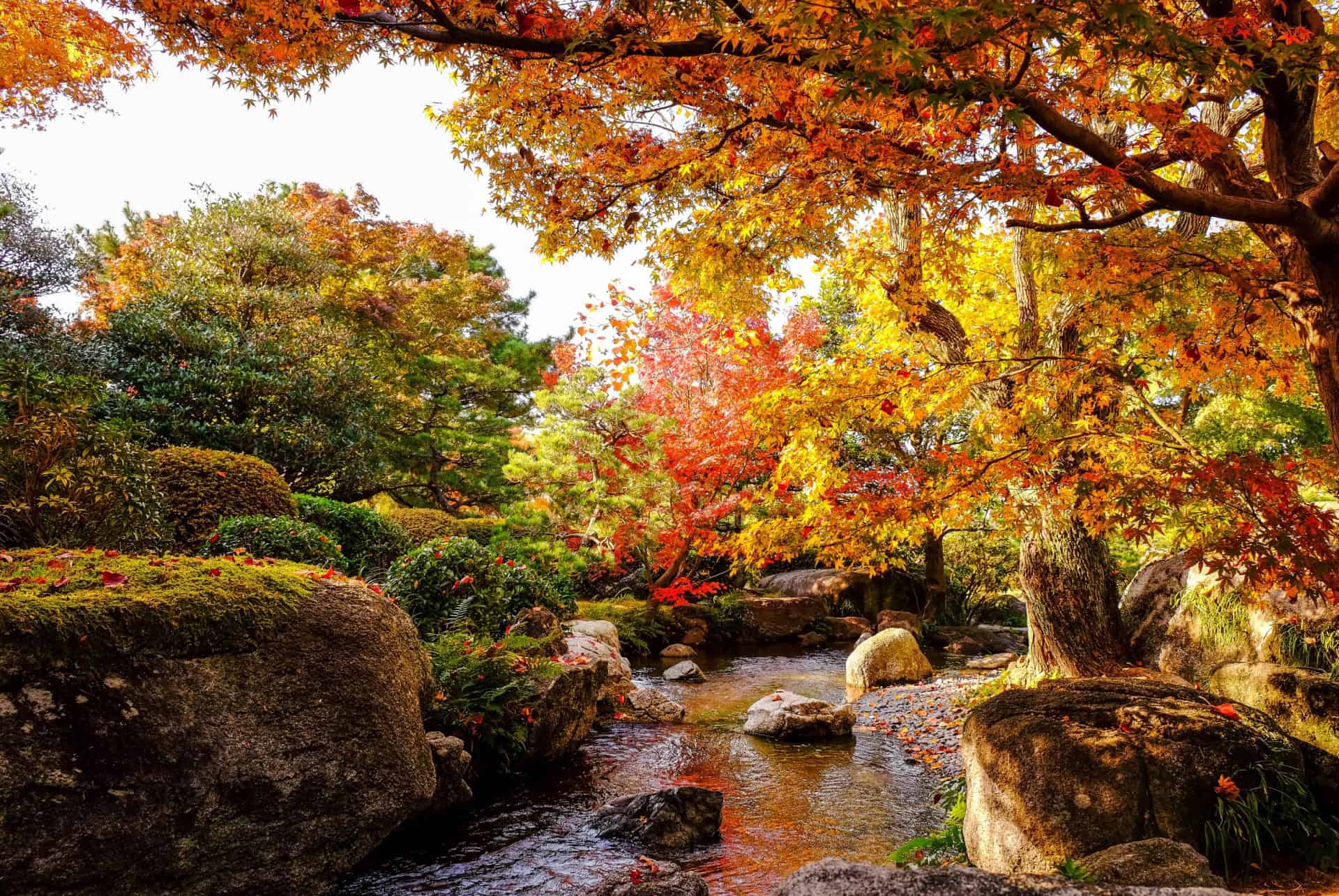parc ohori fukuoka
