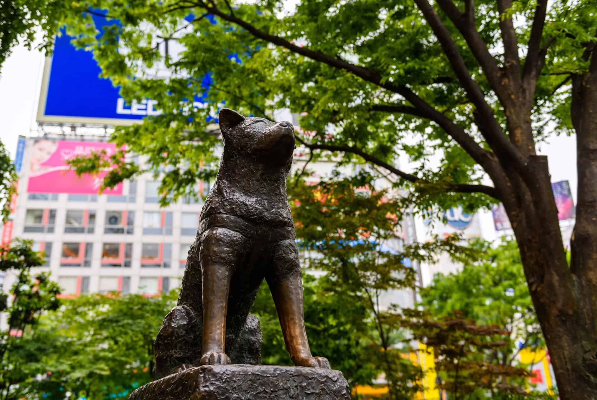 La statue de Hachikō