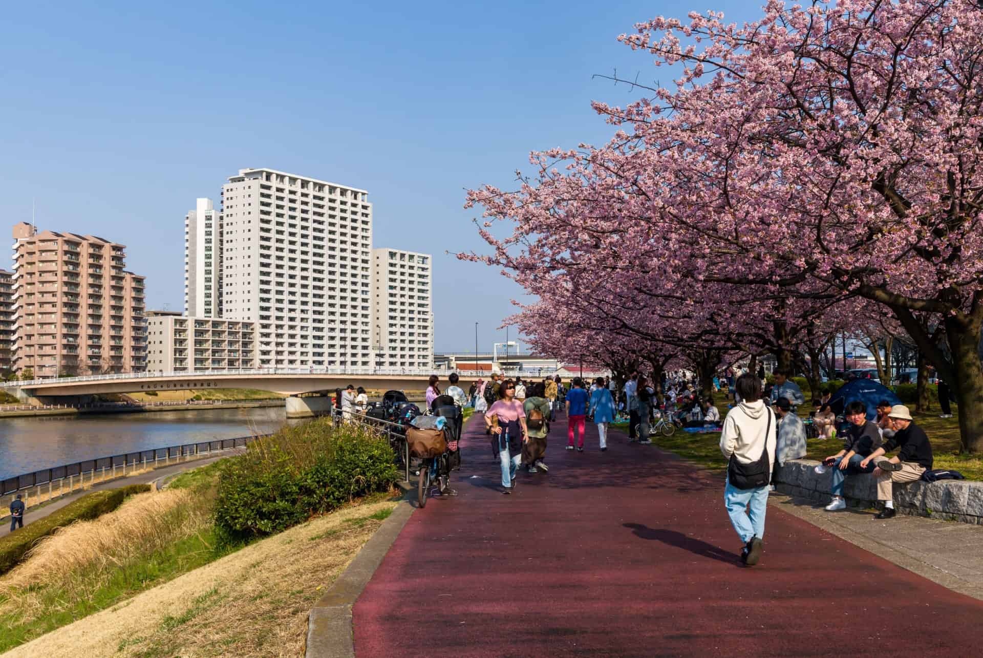 Le parc Sumida à Tokyo