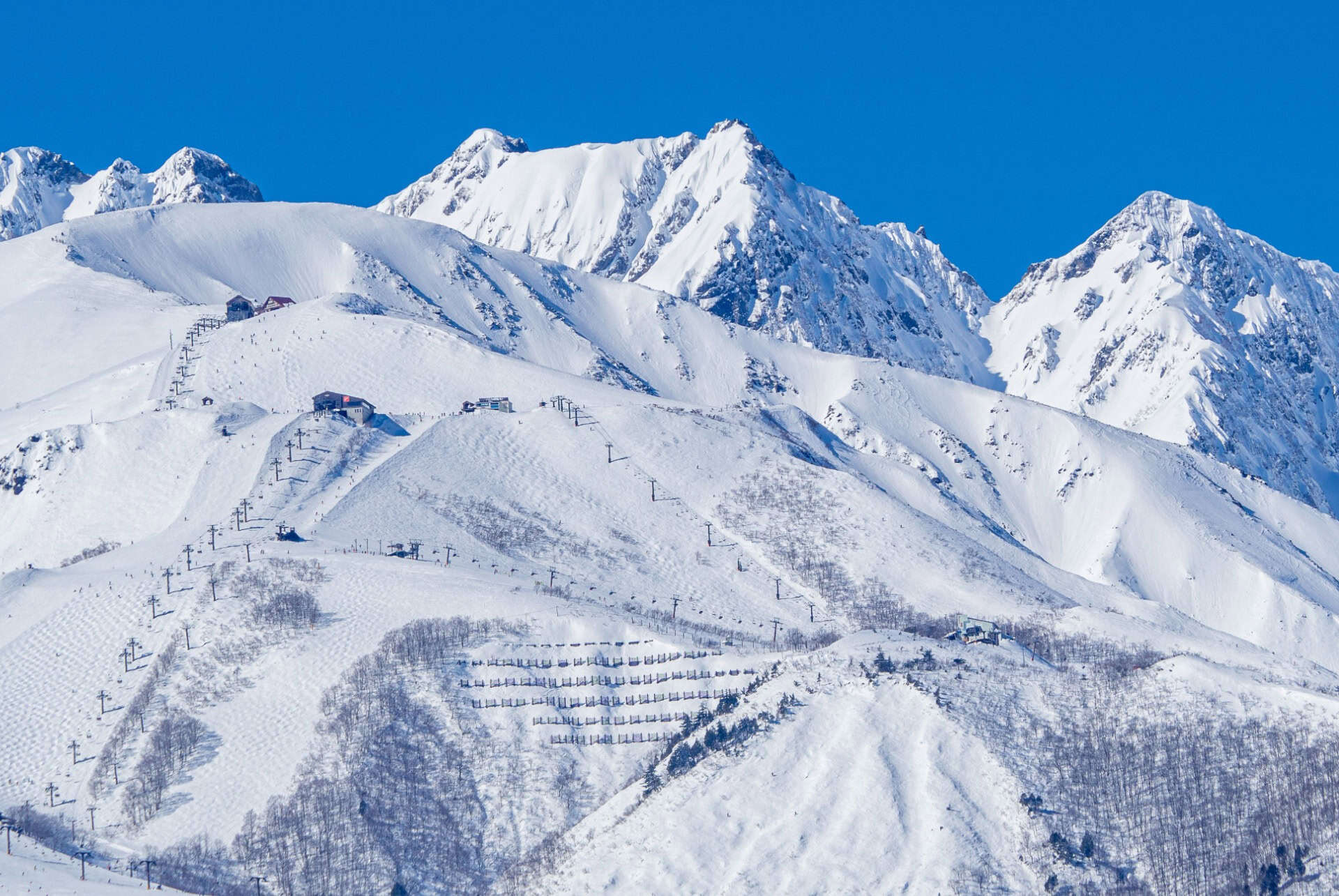 ski hakuba ski hakuba