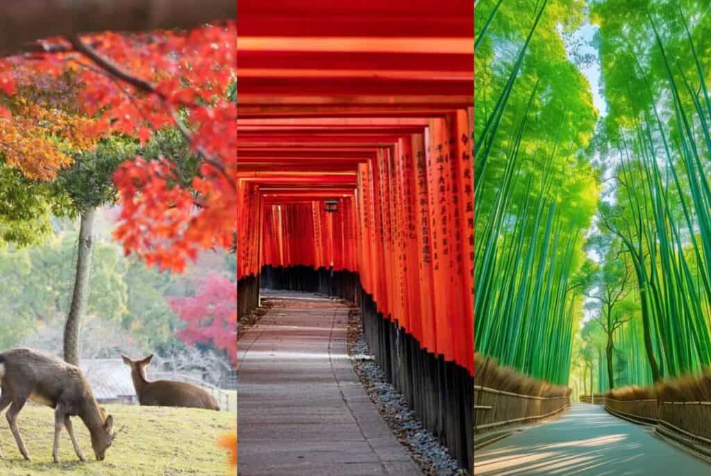 Visite des sites phares de Kyoto et Nara