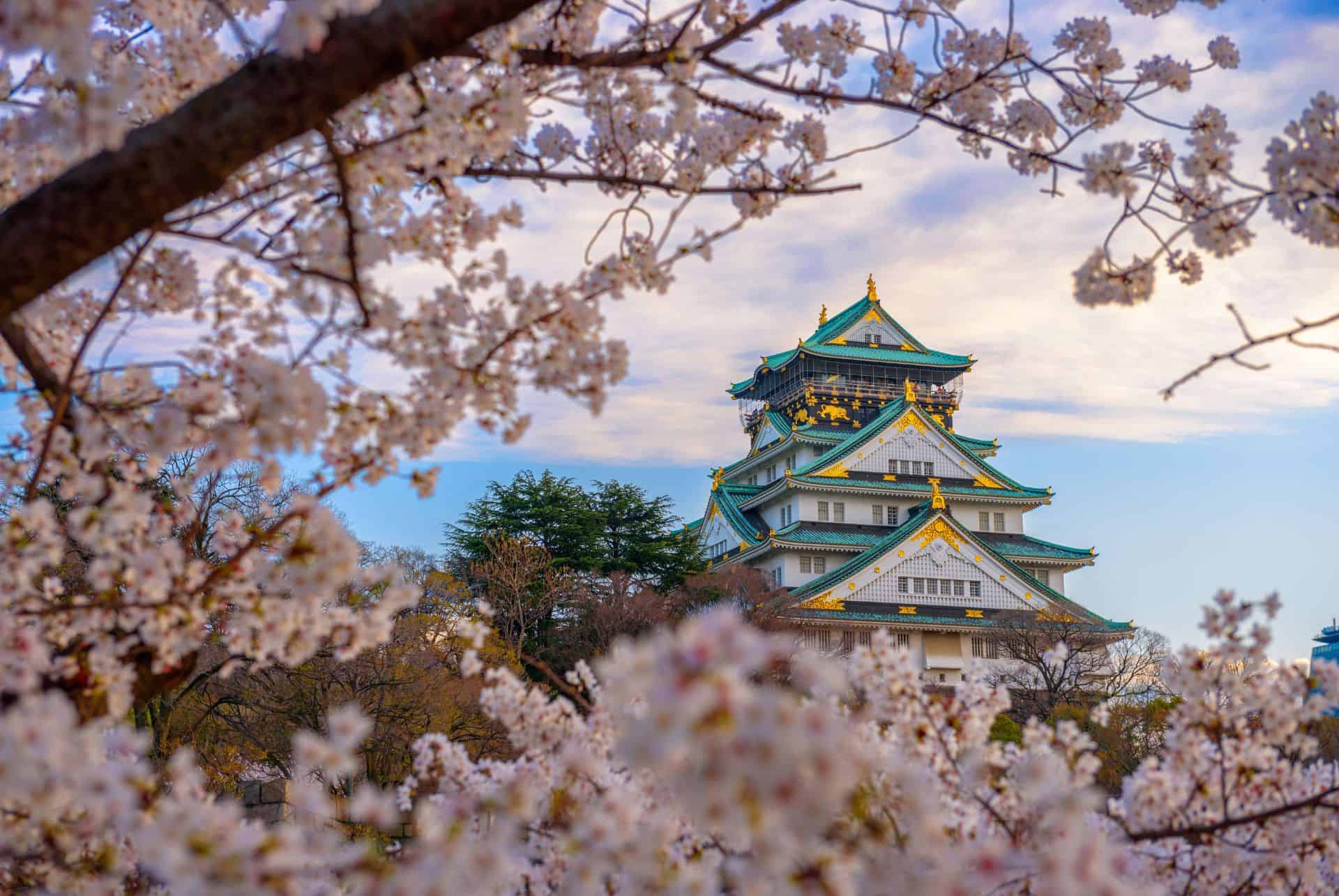 chateau d osaka hanami au japon chateau d osaka hanami au japon