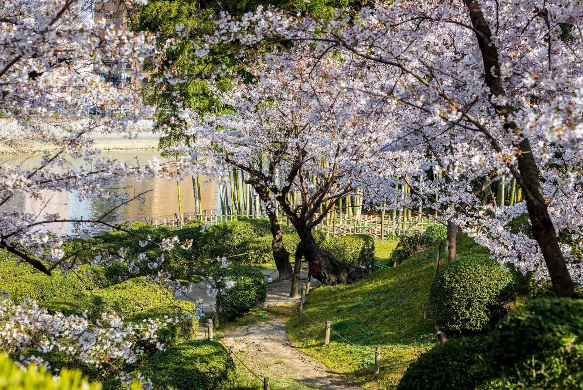 jardin rikugien tokyo