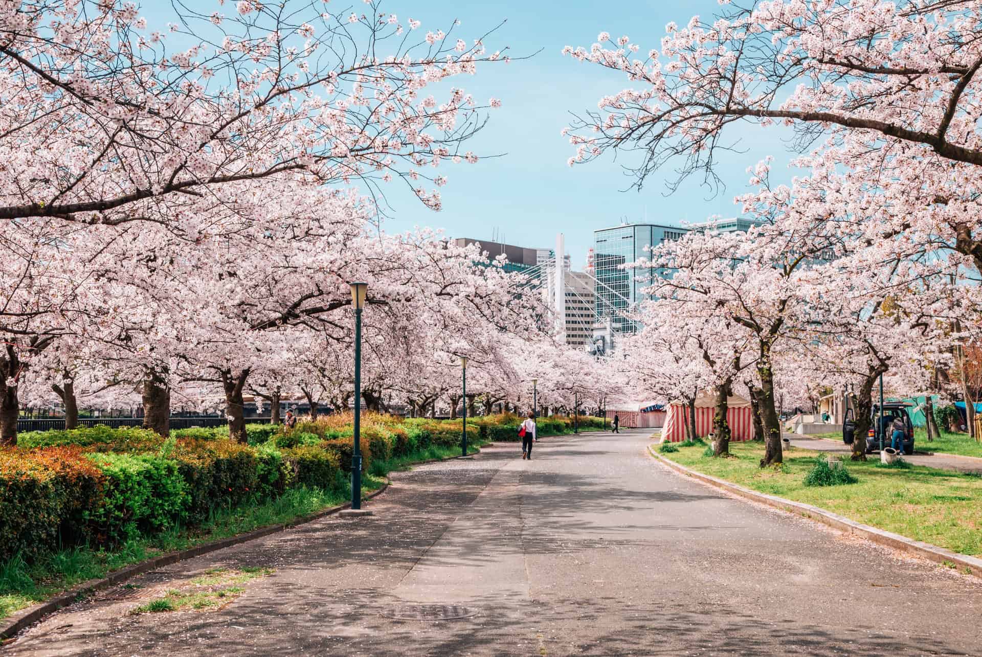 kema sakuranomiya park osaka