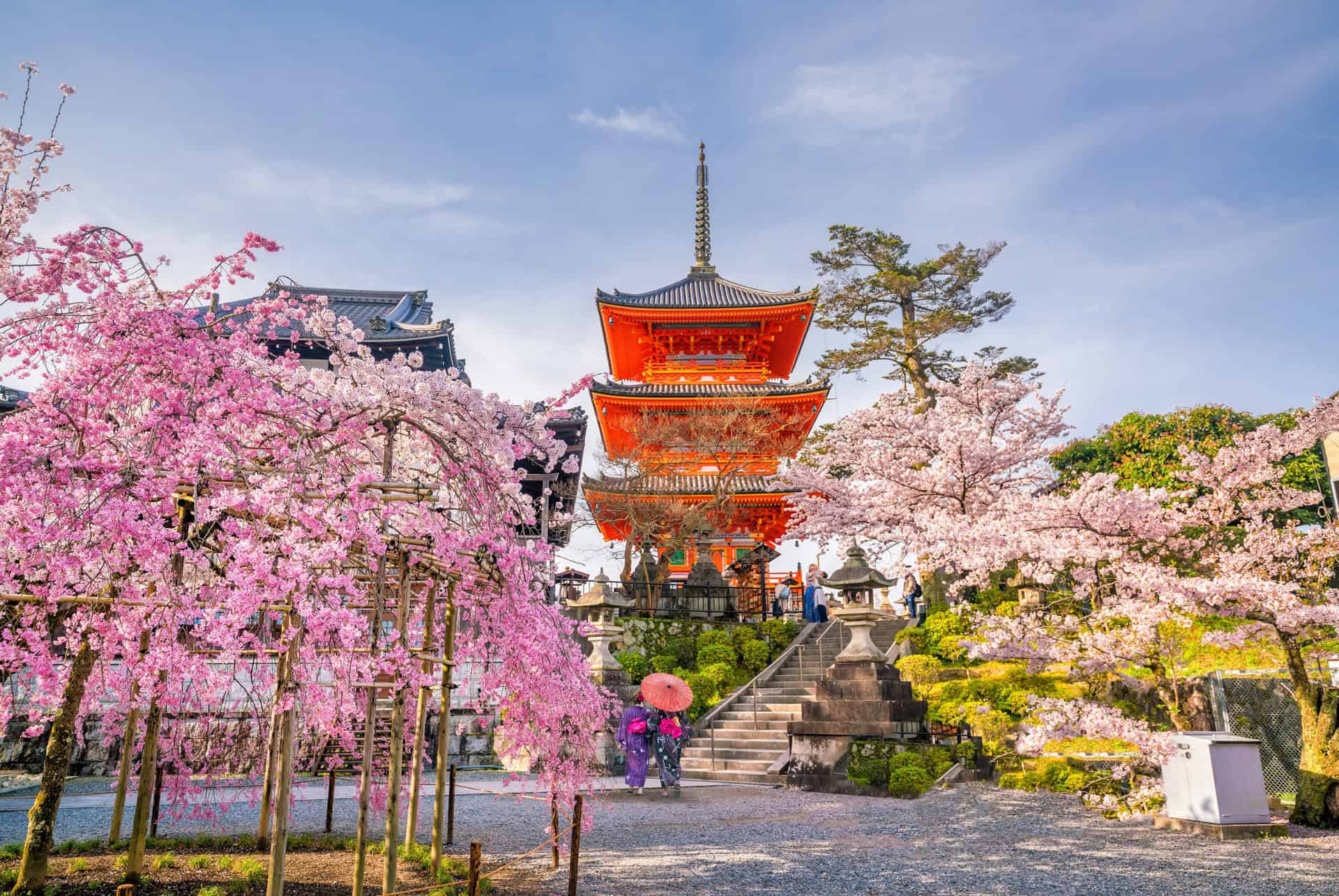 kiyozumi dera sakura