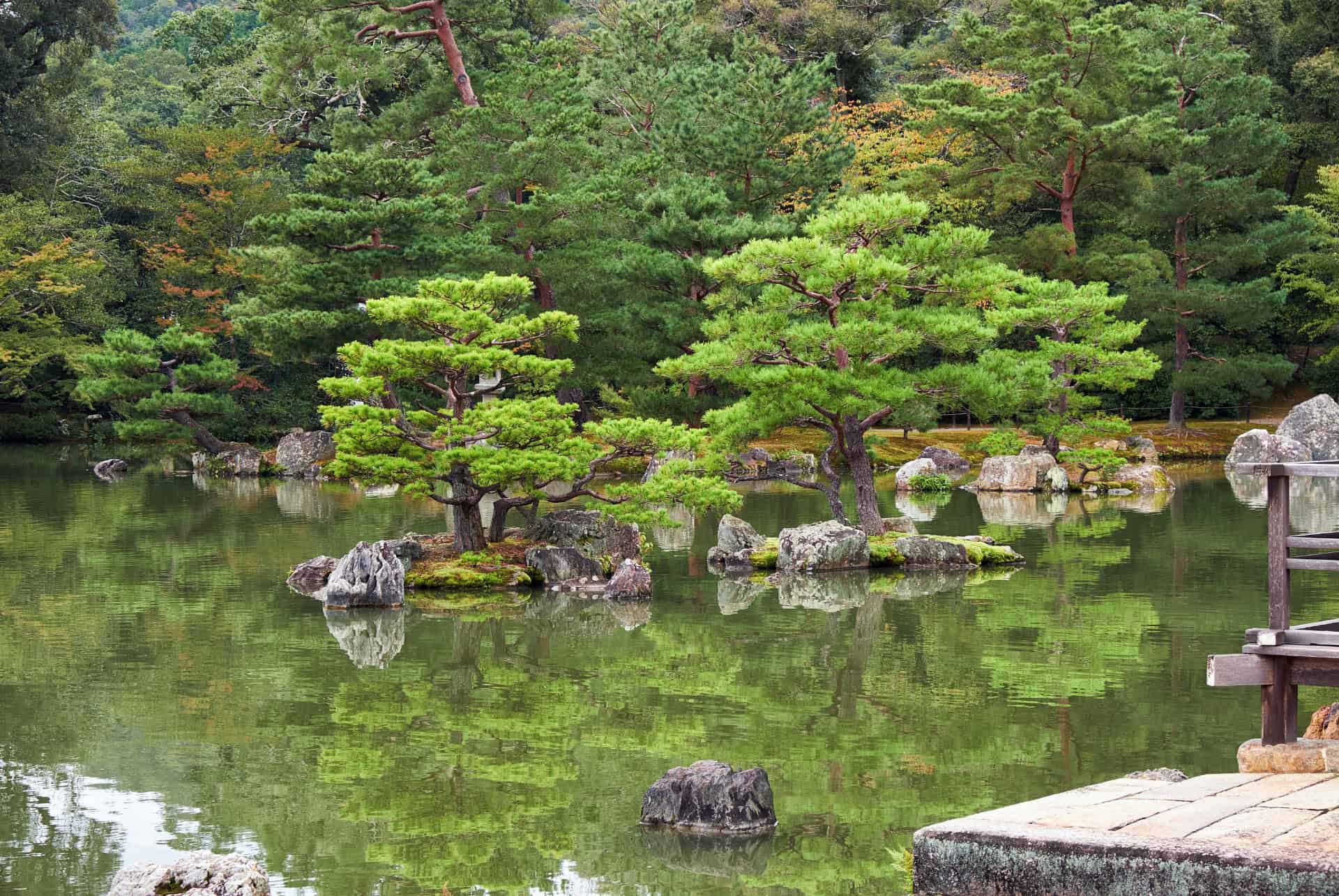 kyoko-chi etang miroir
