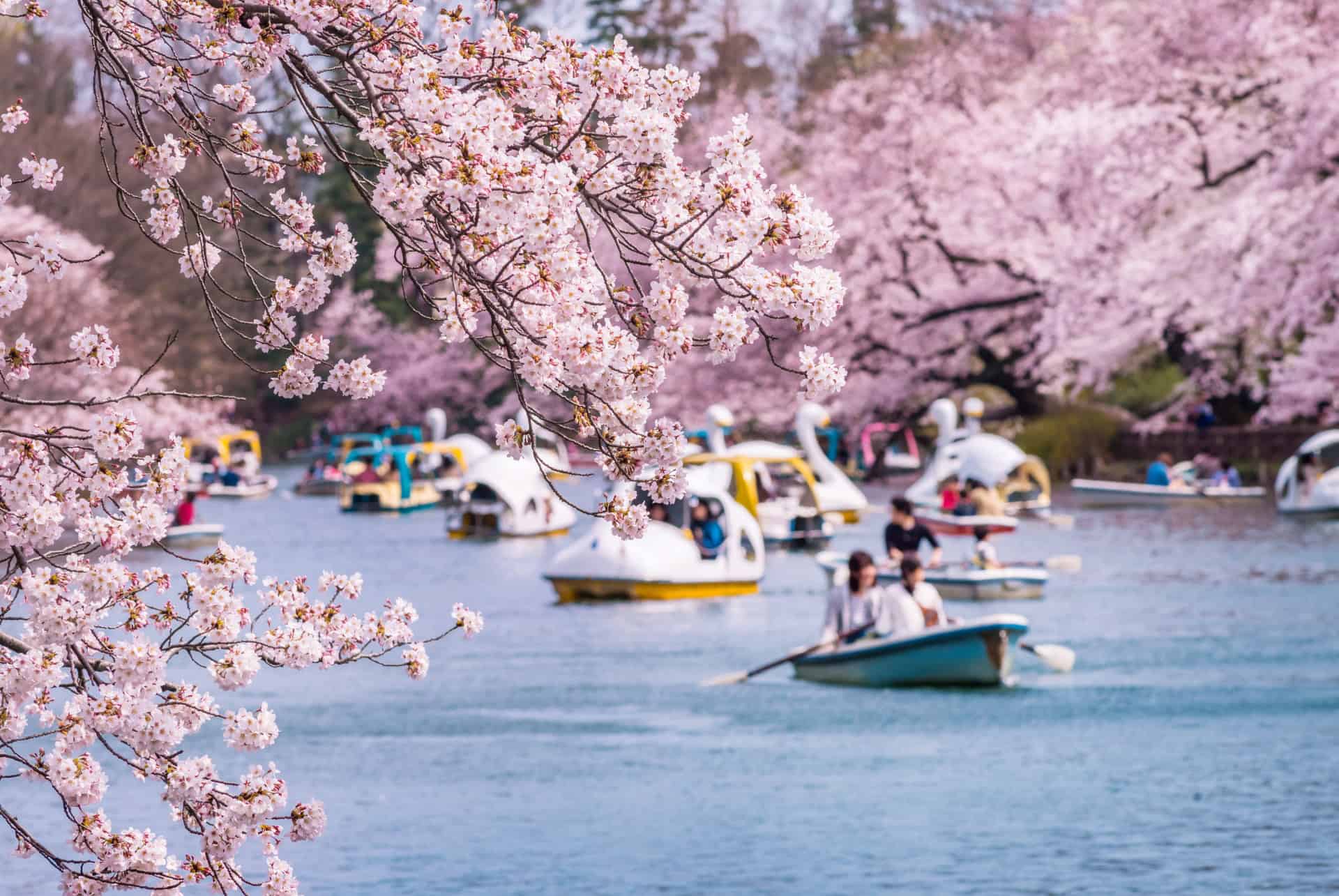 Le Japon en mars