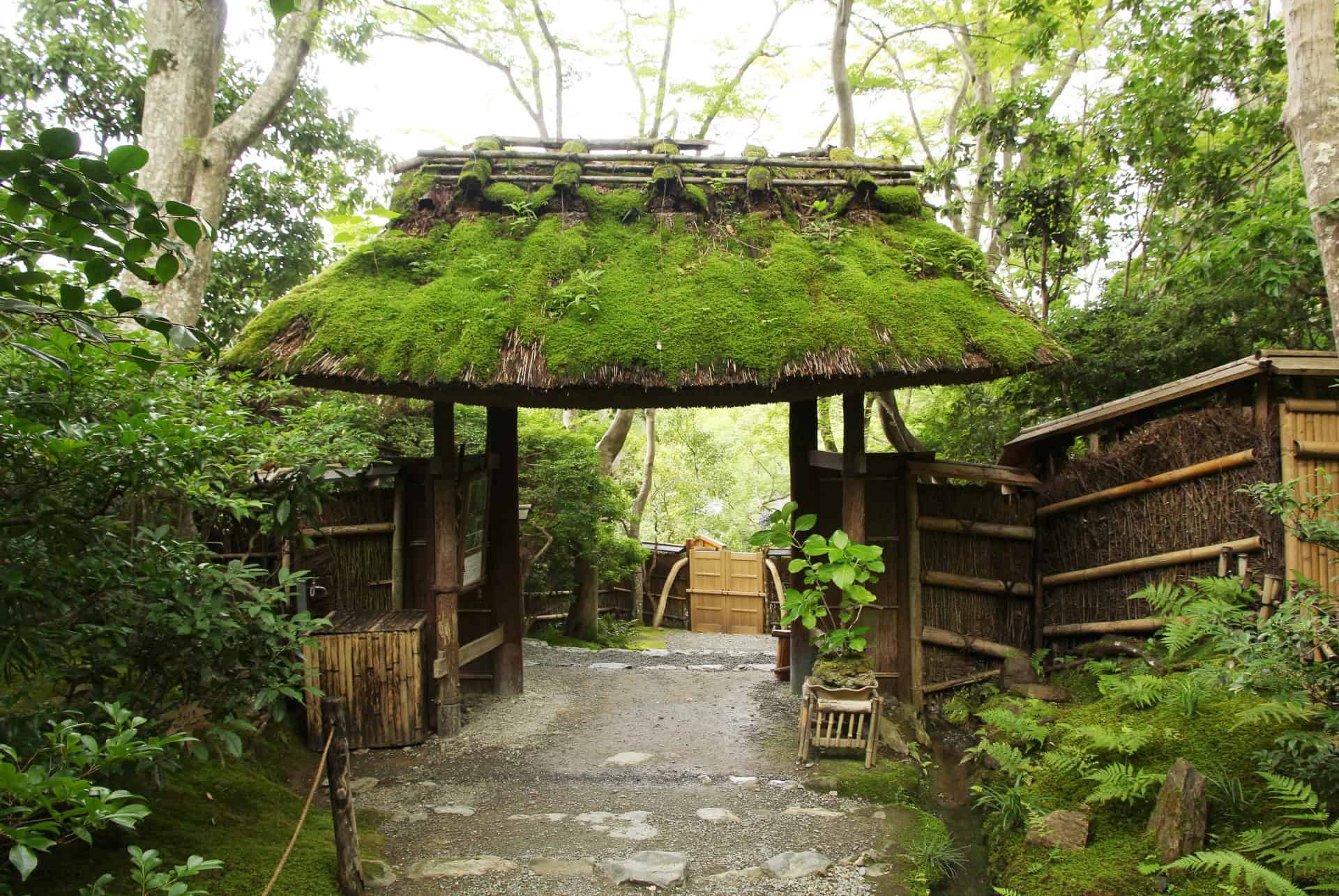 temple gio ji kyoto