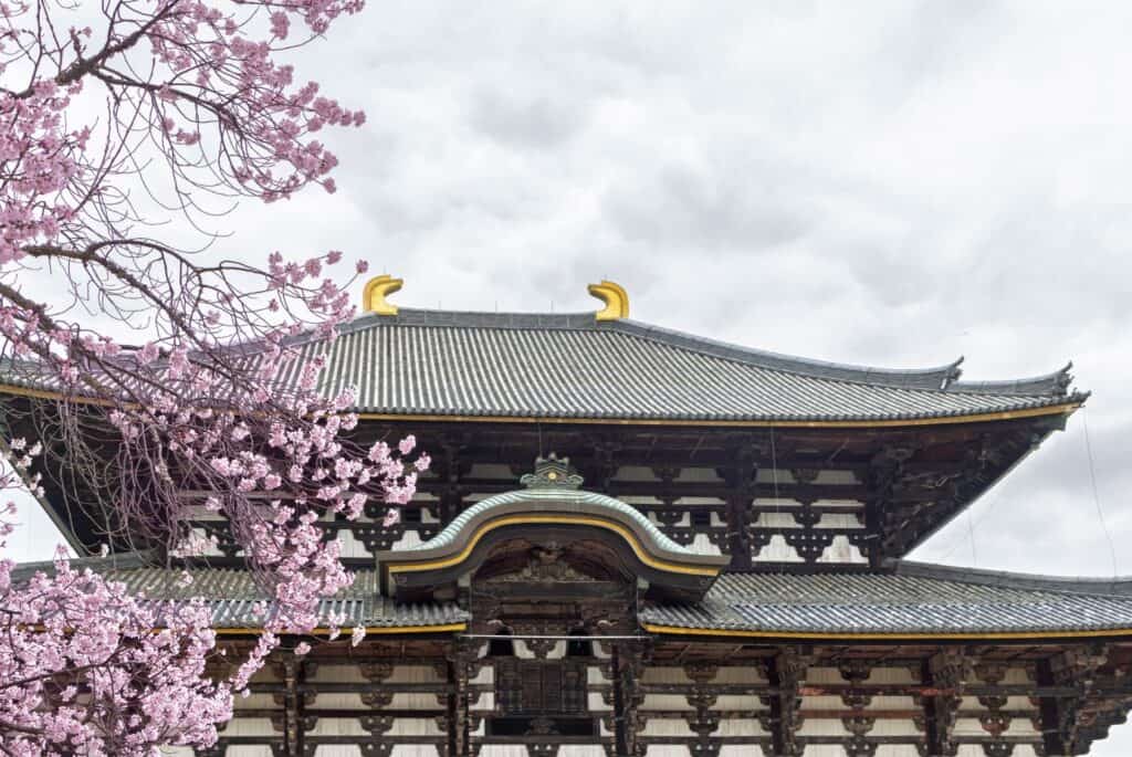 Excursion d'une journée à Nara et Uji