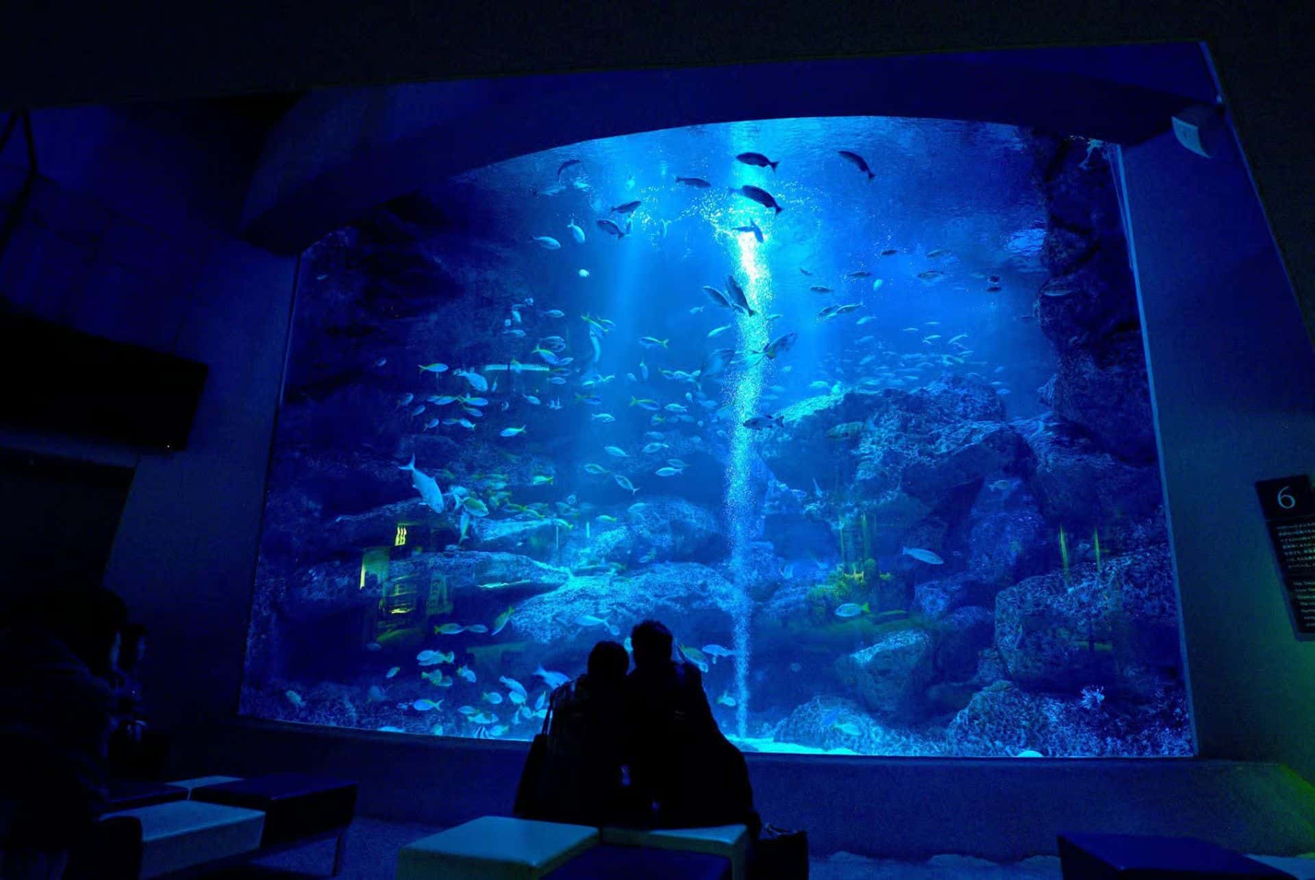 visiter sumida aquarium