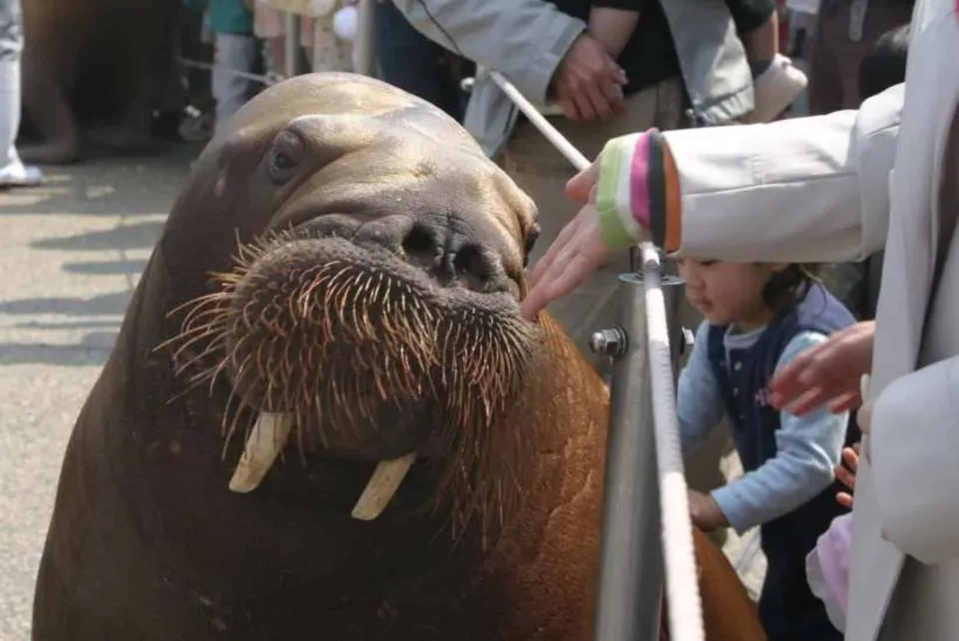 aquarium umitamago