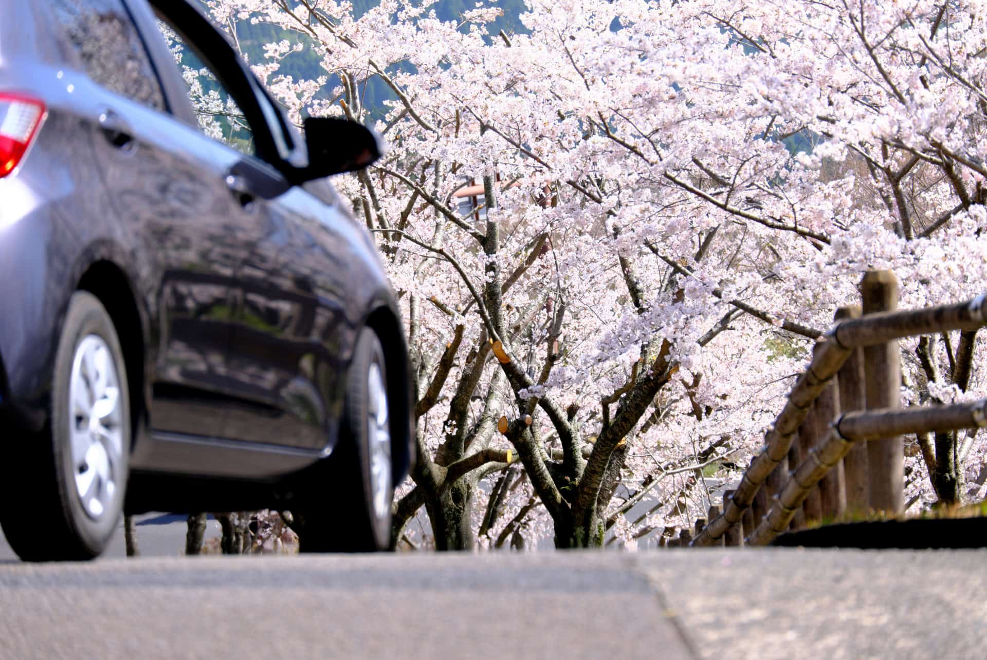location voiture citadine japon location voiture citadine japon