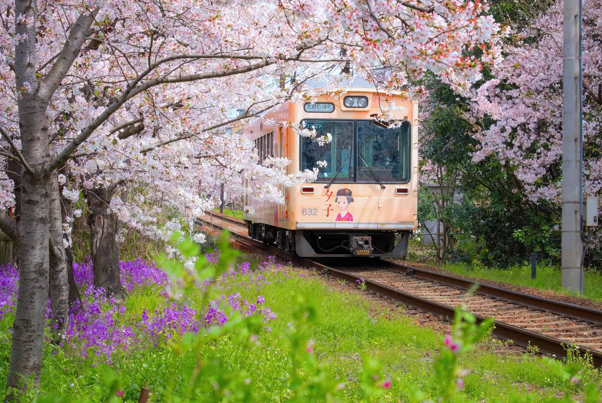 tramway keifuku kyoto