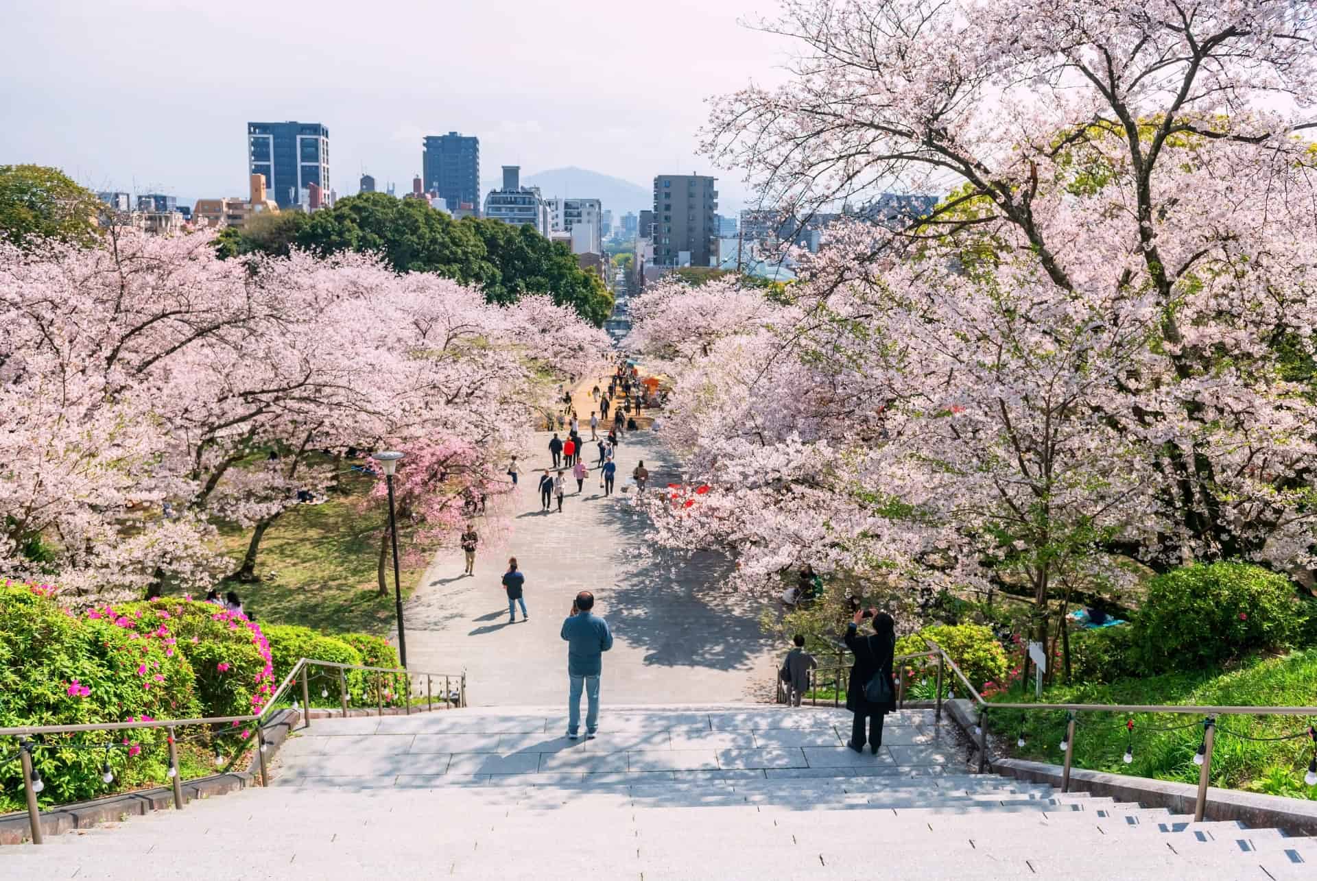 Le Japon en mai
