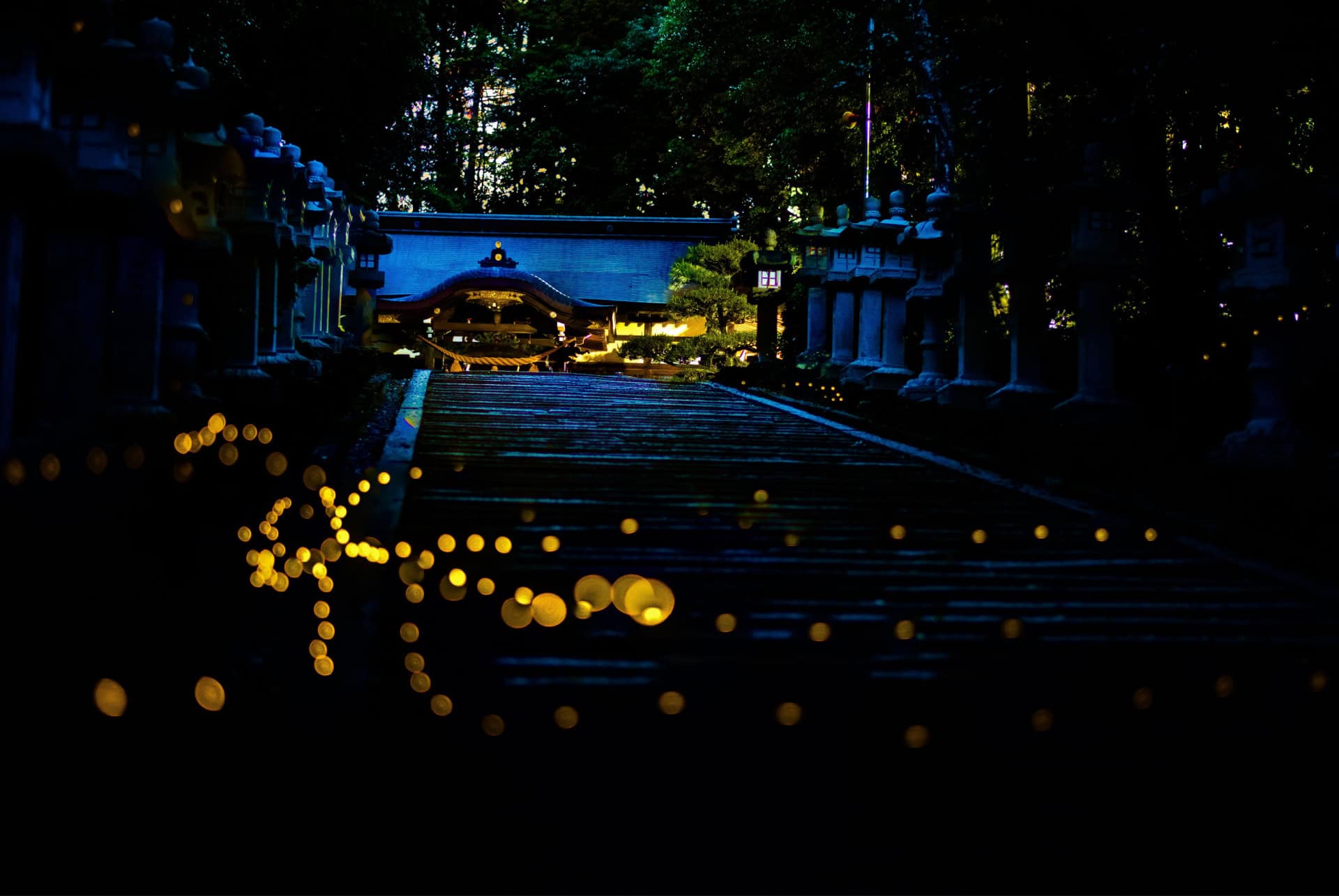 lucioles japon juin lucioles japon juin
