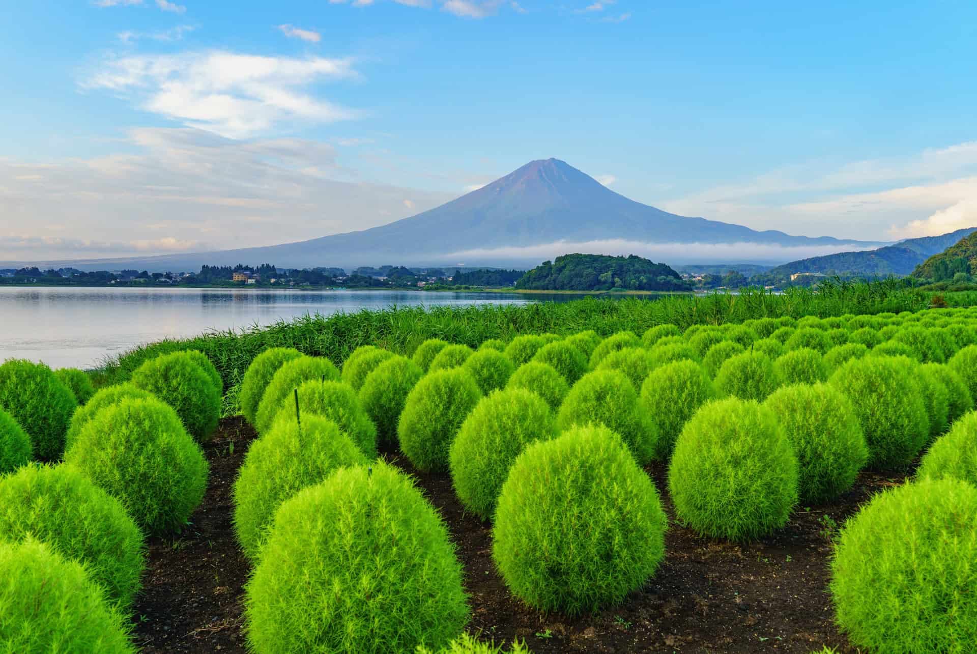Itinéraire de 3 semaines au Japon