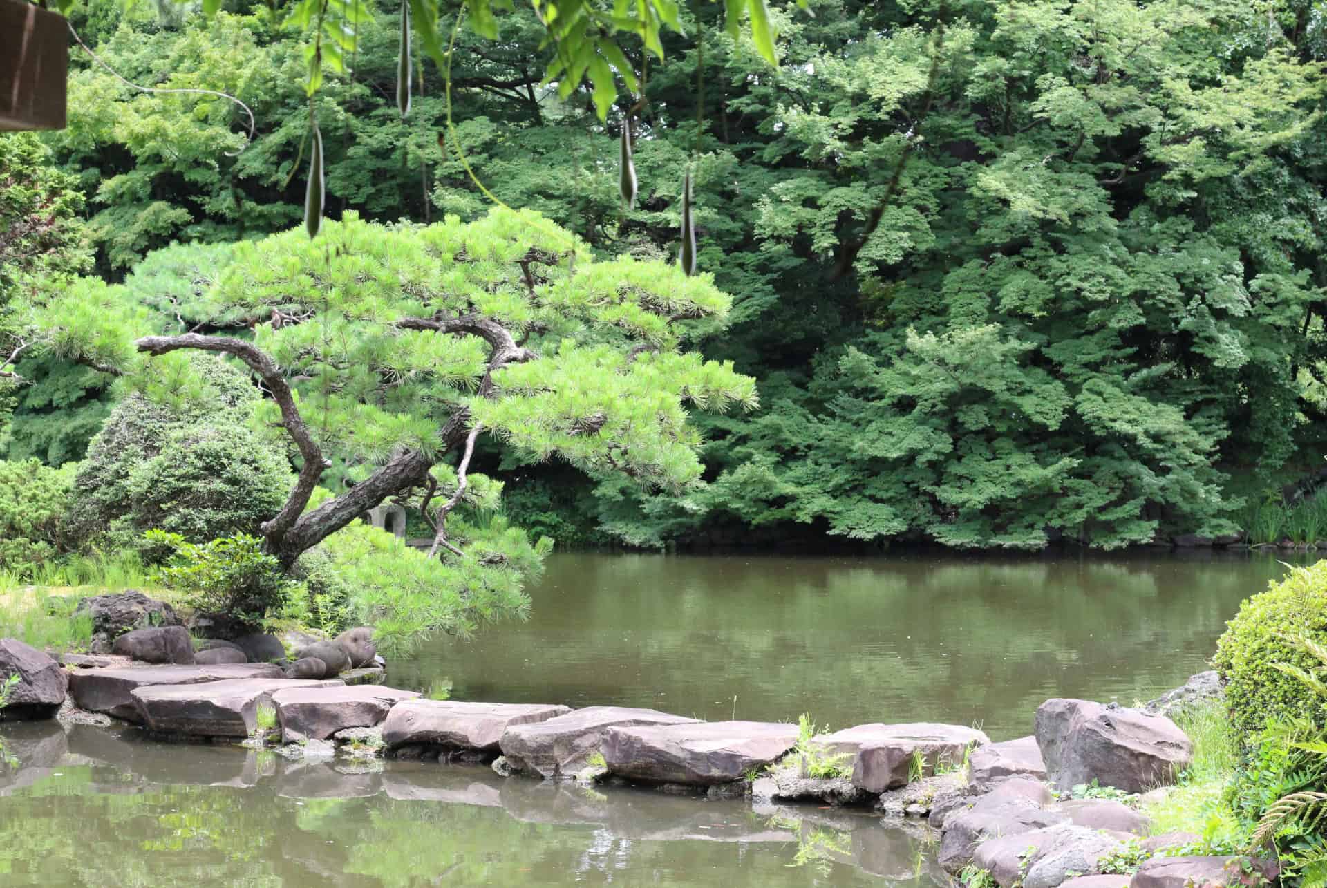 gyoen shinjuku