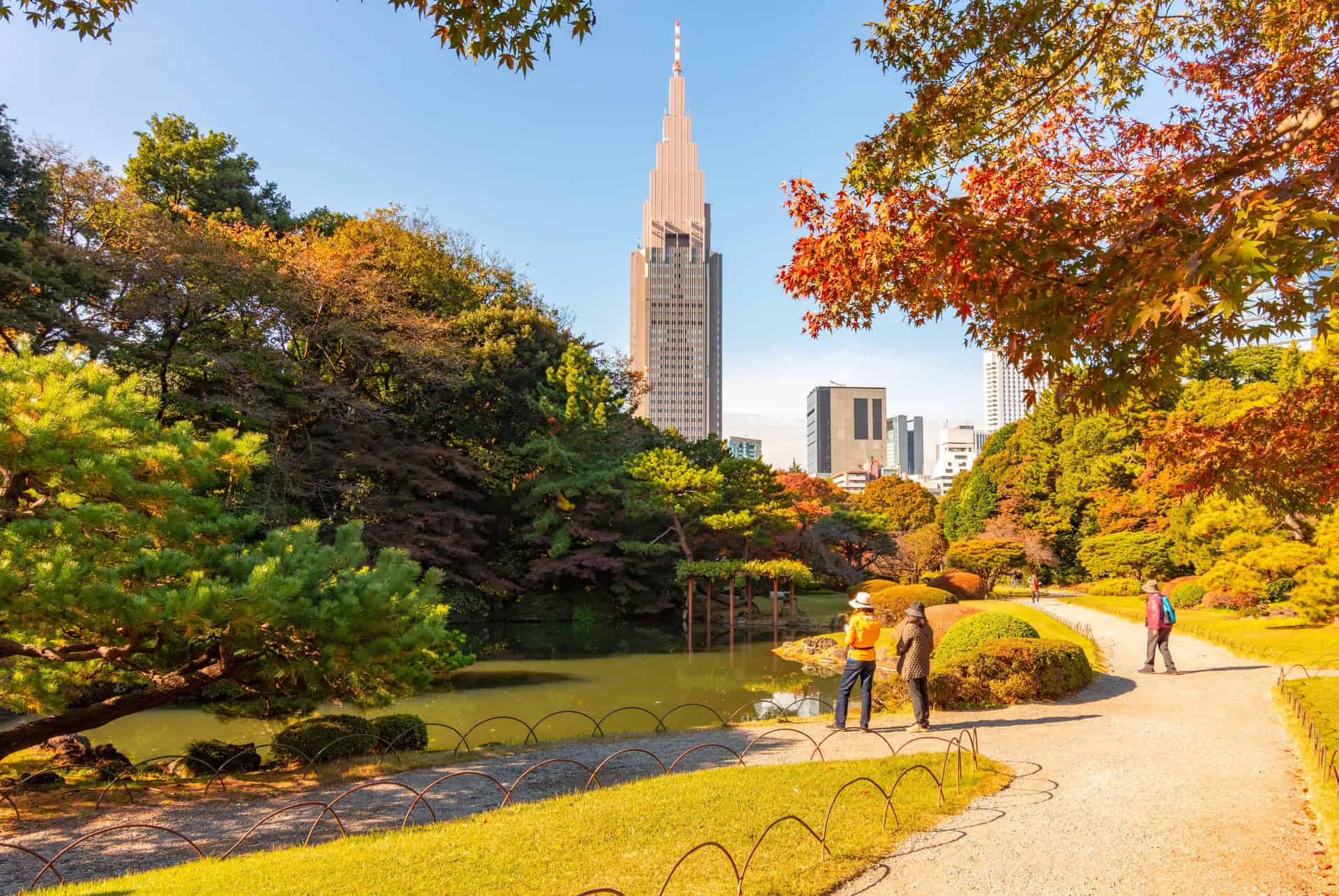 shunjuku gyeon automne
