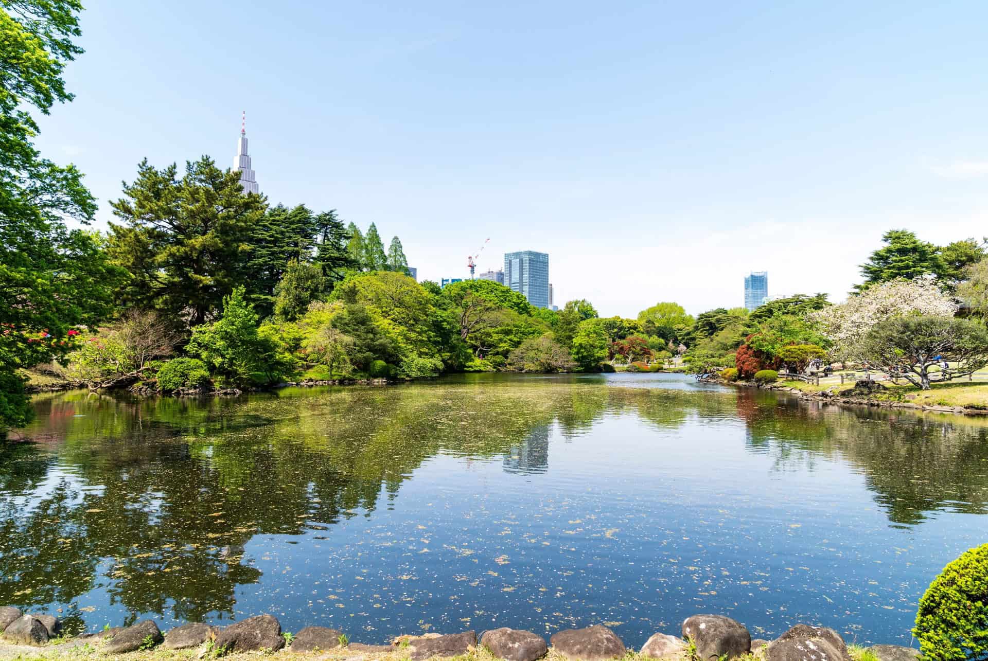 shunjuku gyeon tokyo