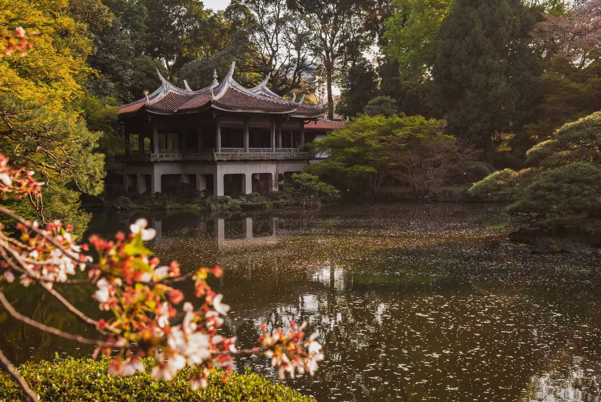 Shinjuku Gyoen