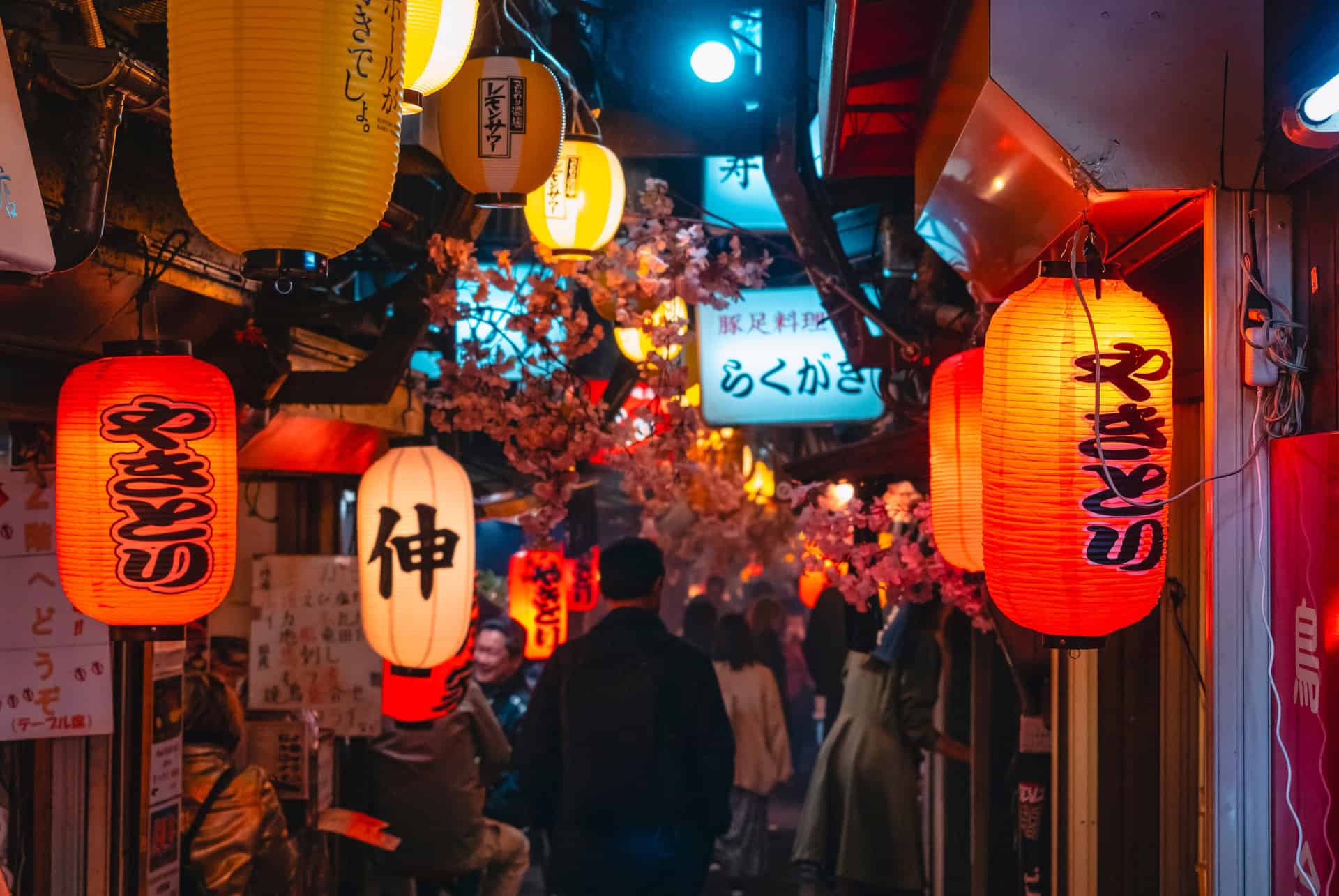 allee de omoide yokocho a shinjuku