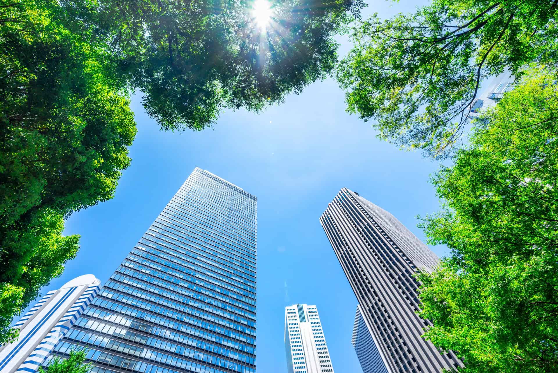 que faire a tokyo en ete