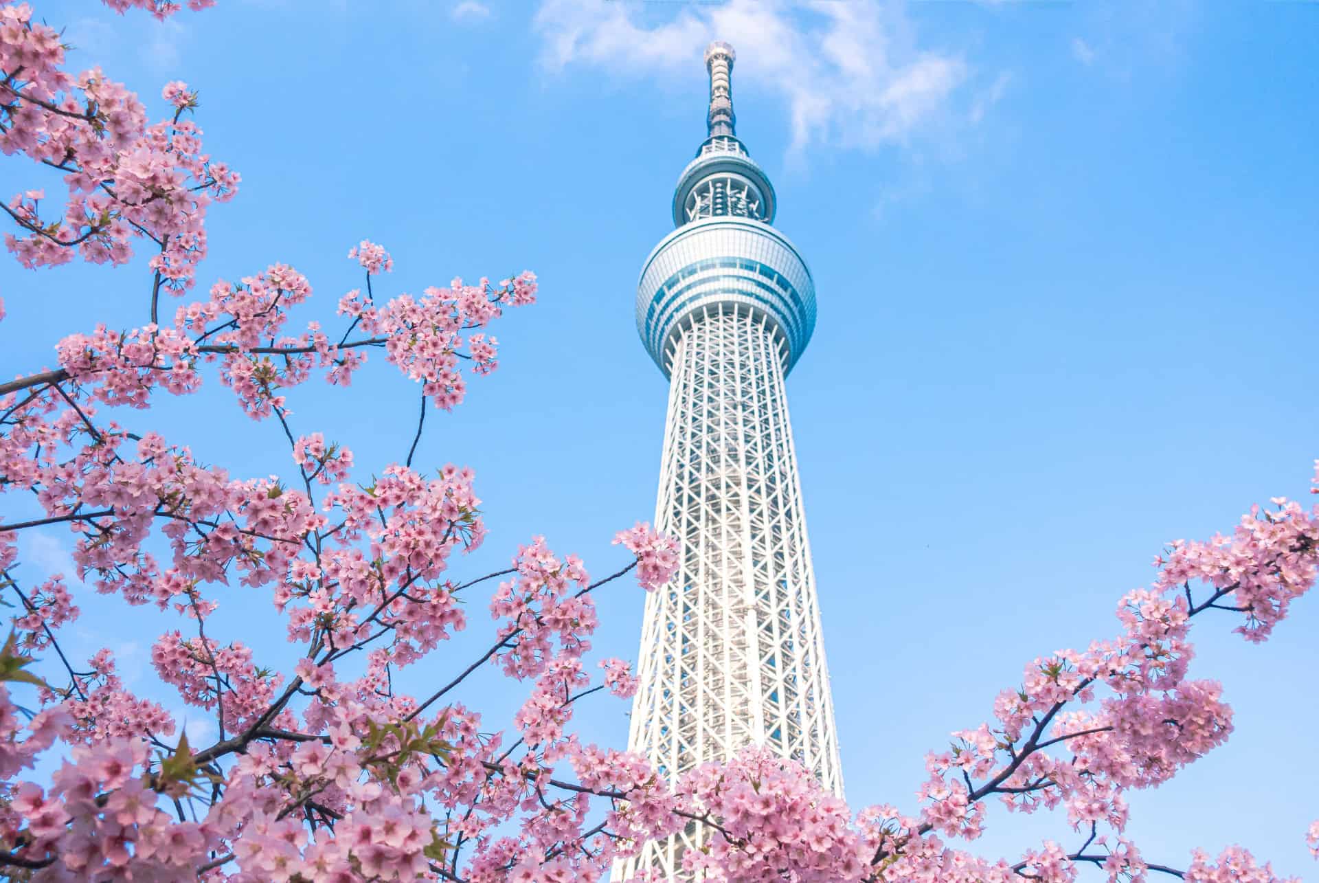vue en contreplongee sur la tokyo skytree
