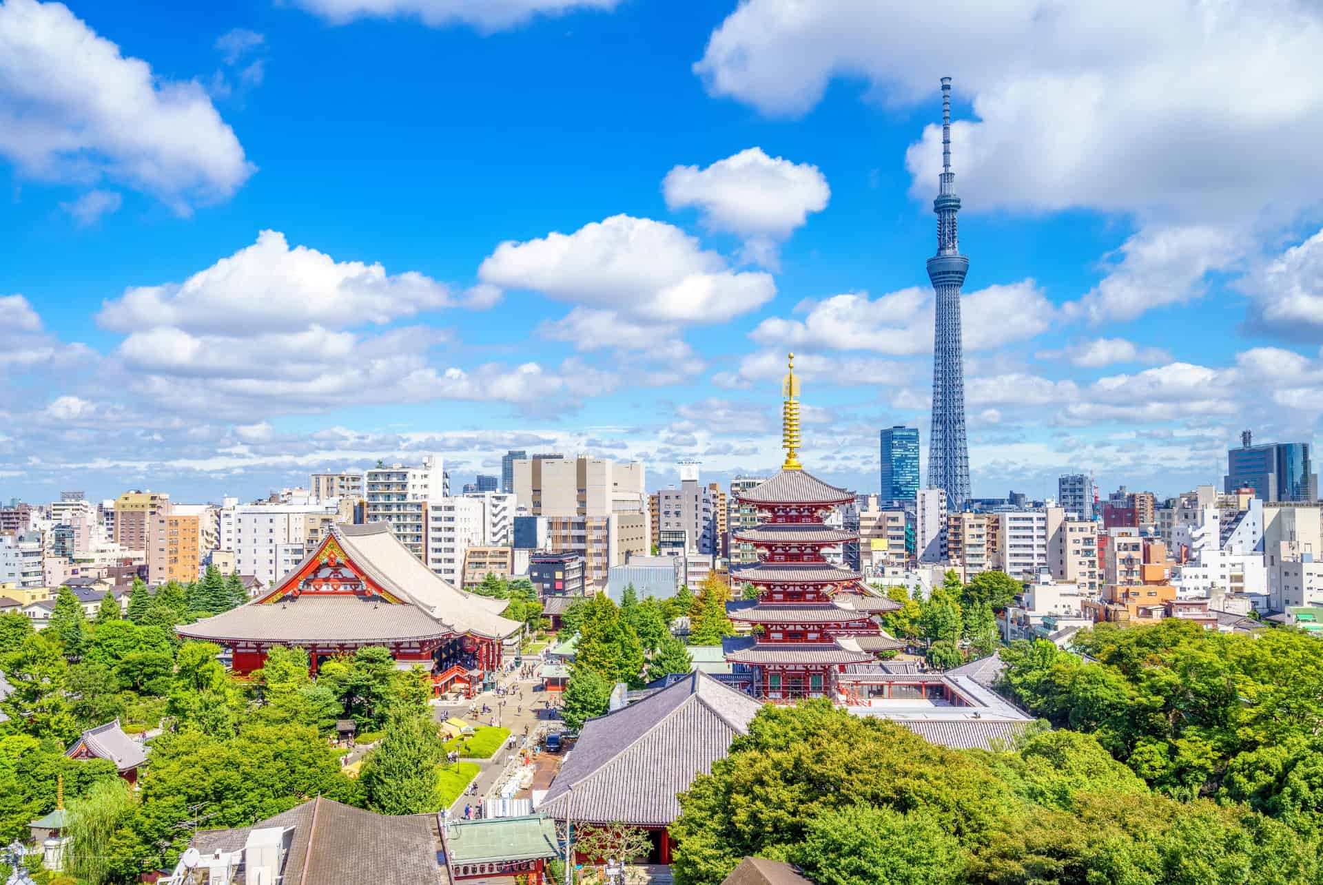 vue panoramique avec la tokyo skytree