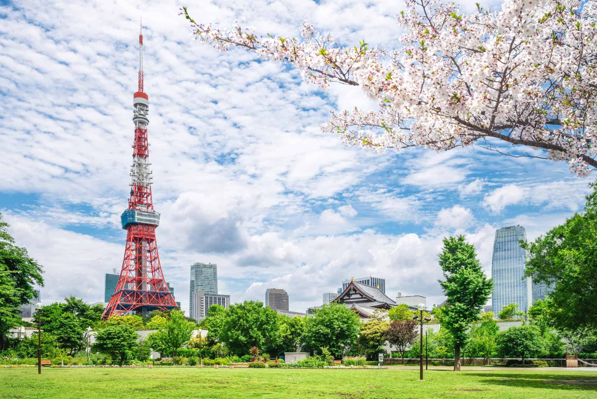 vue sur la tour de tokyo et son parc