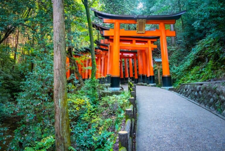 Excursion d'une journée à Kyoto et Nara avec déjeuner